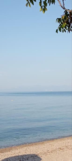 Pomegranate Seaside Corner