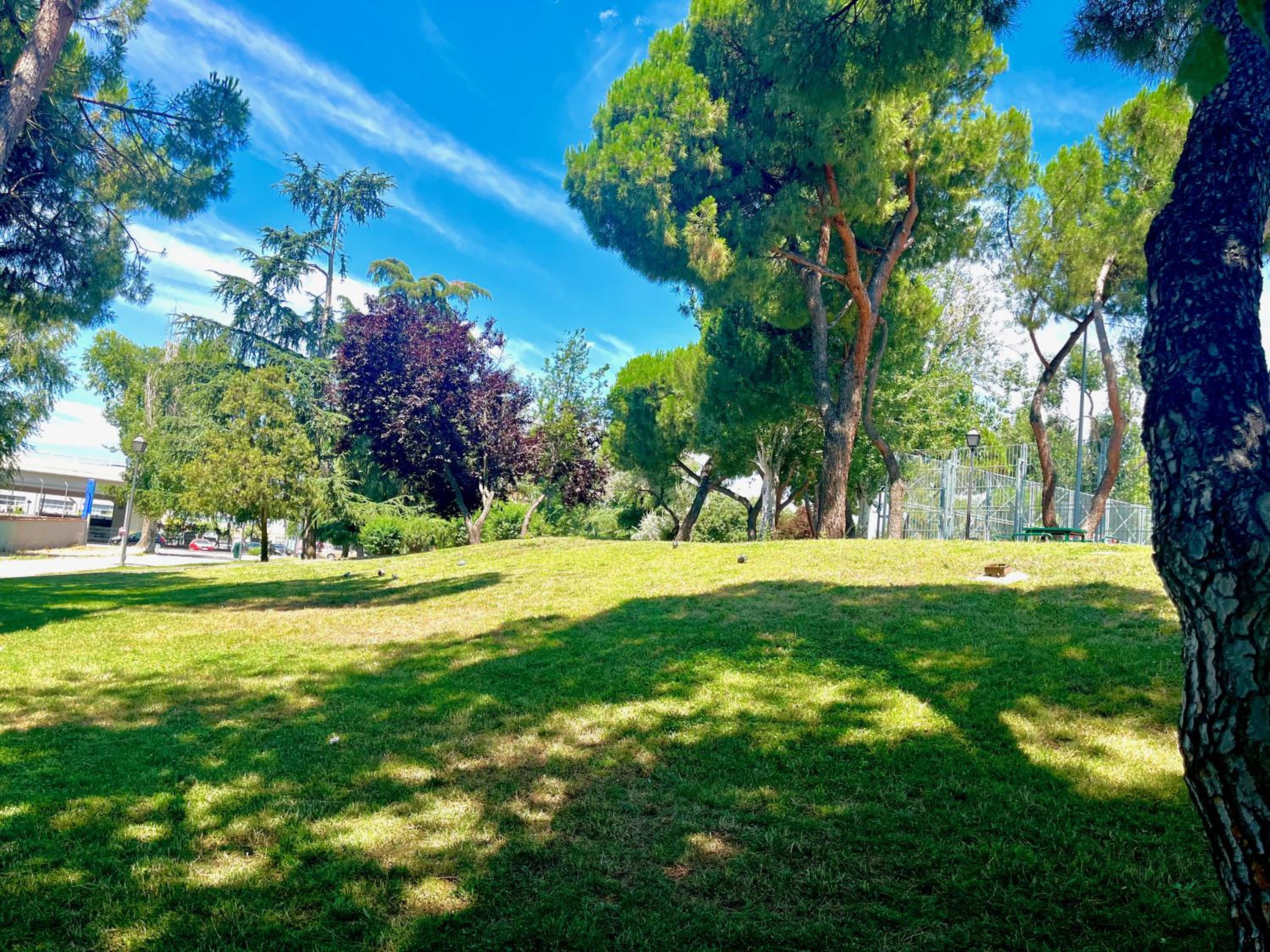 Madrid Vacations - Hostel Vida Verde - Property Image 6