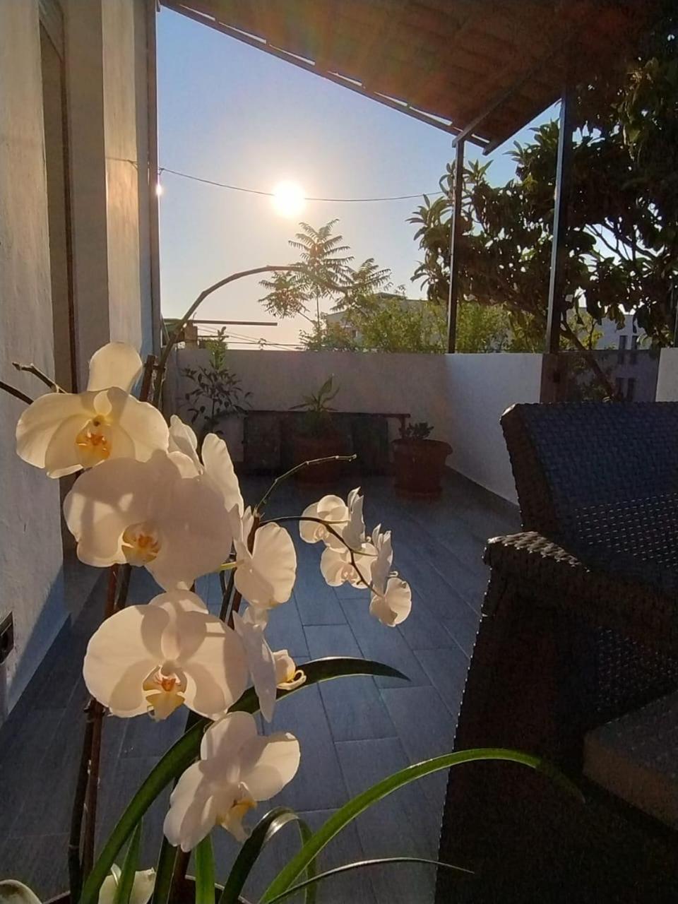 Vila Kurti