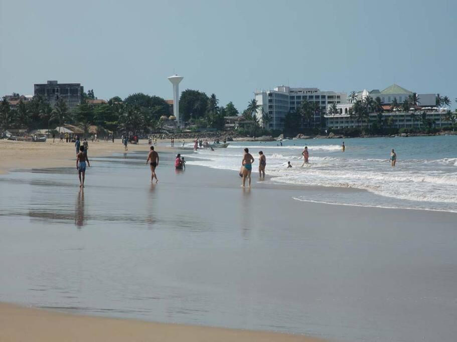 Photo 44