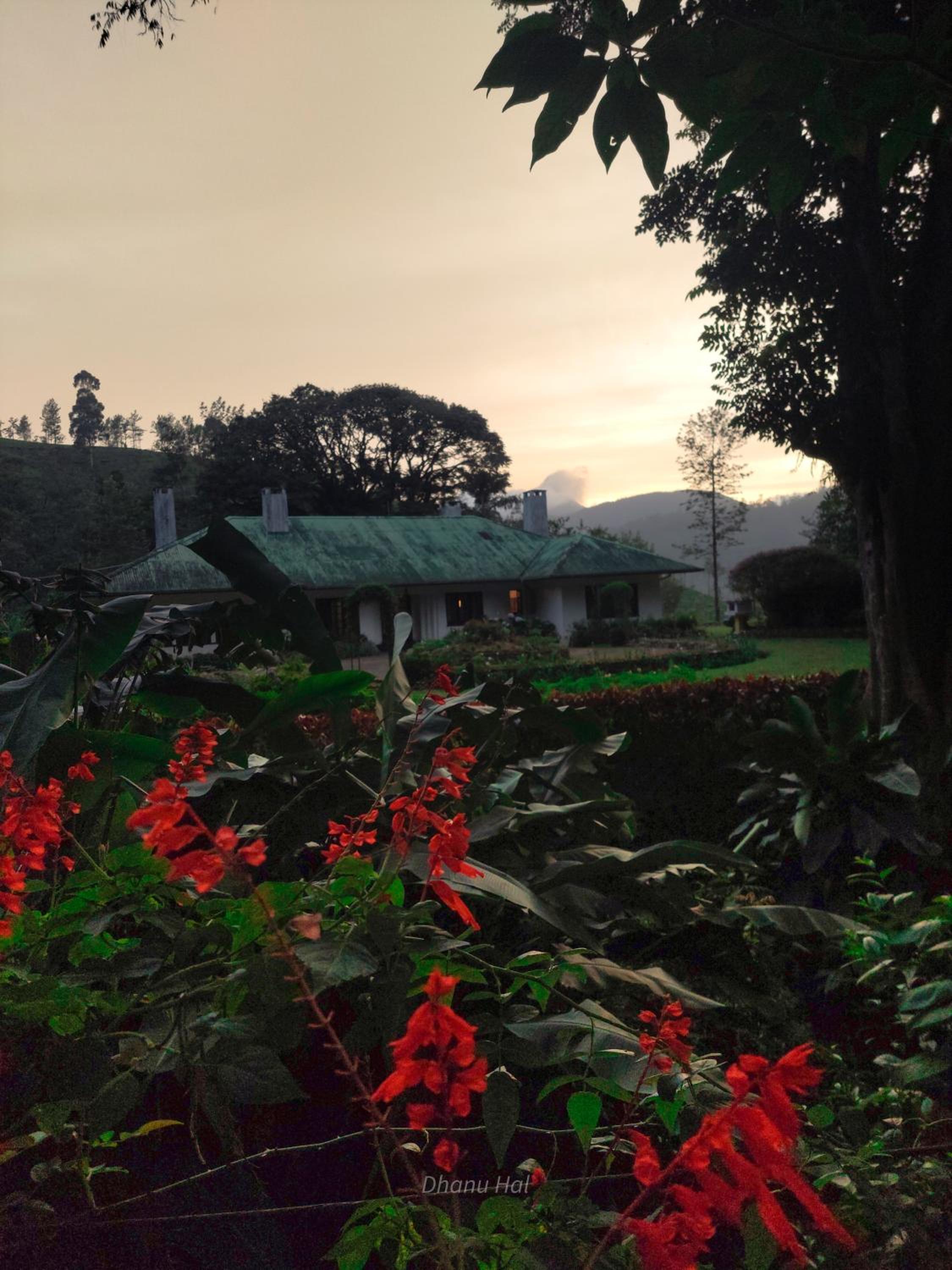 Gartmore Estate Bungalow view 5