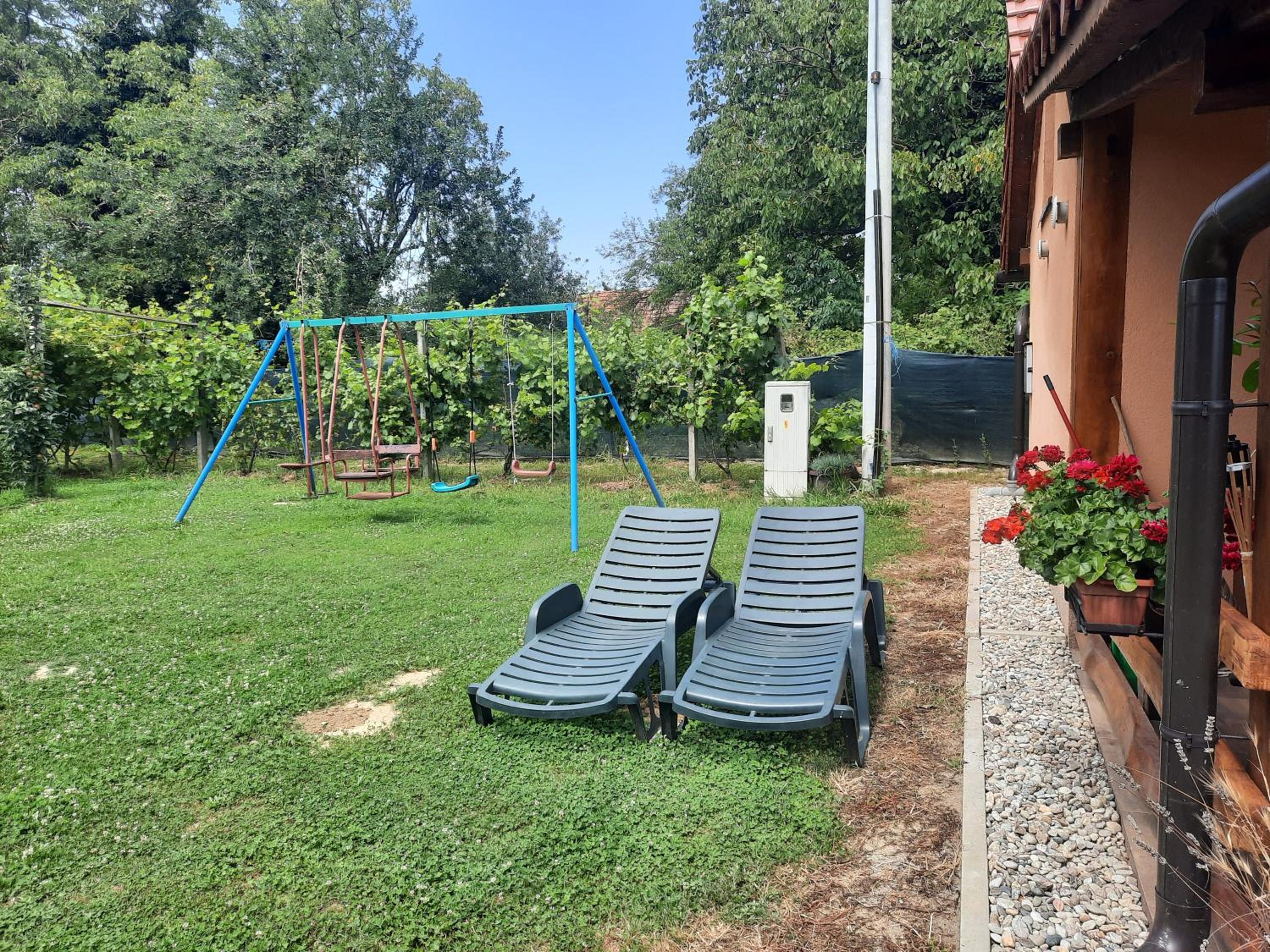 Photo 47