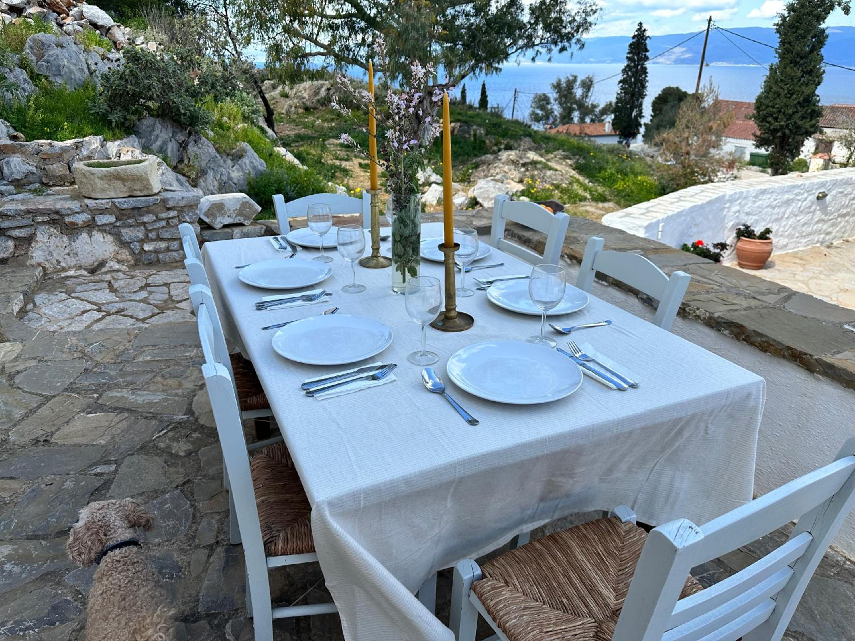 Hydra Homesteads