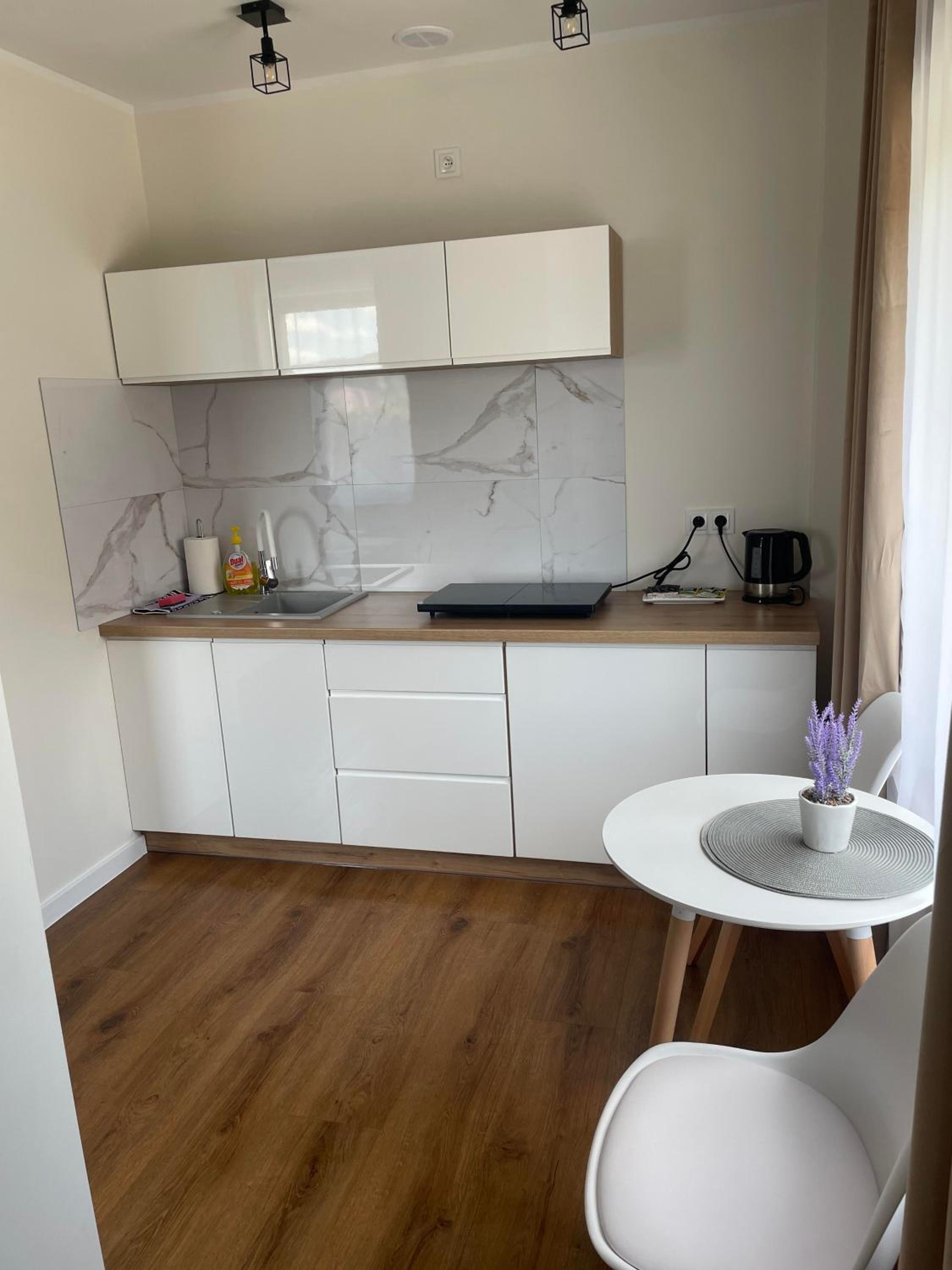 Apartamenty Pod Lwami view 5