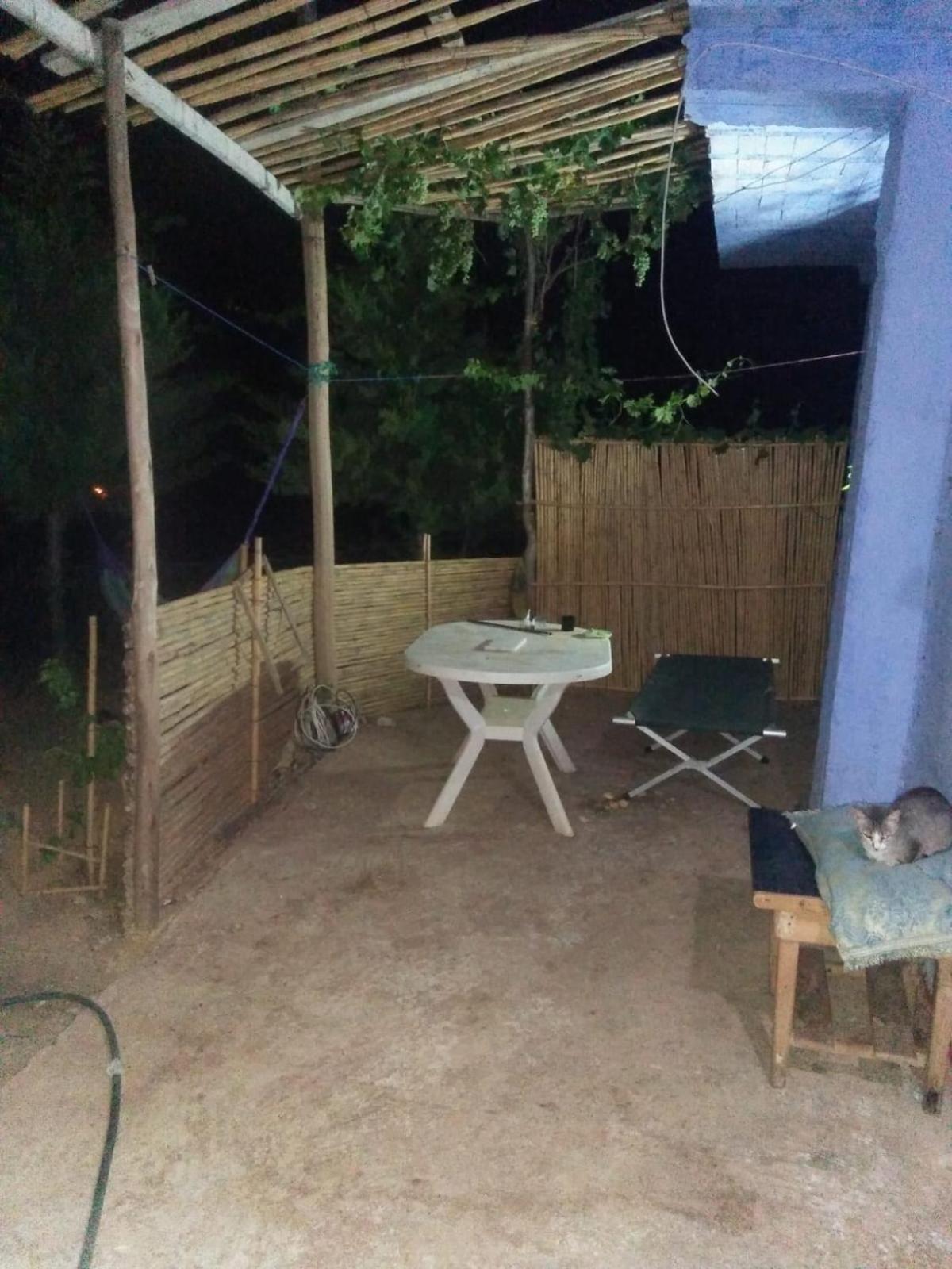 Photo 42