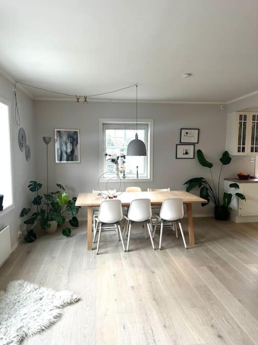 Romslig leilighet nær Stavanger sentrum