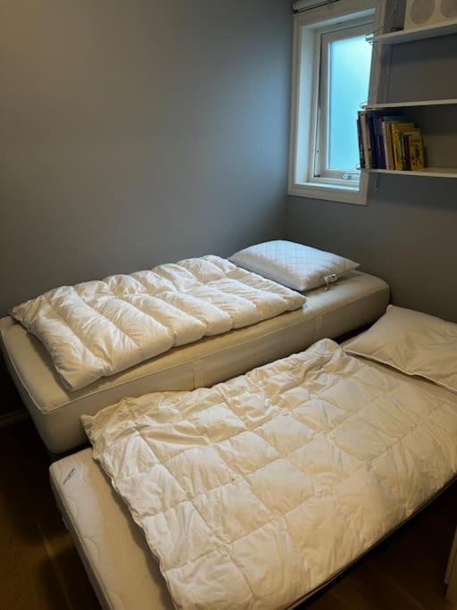 Romslig leilighet nær Stavanger sentrum