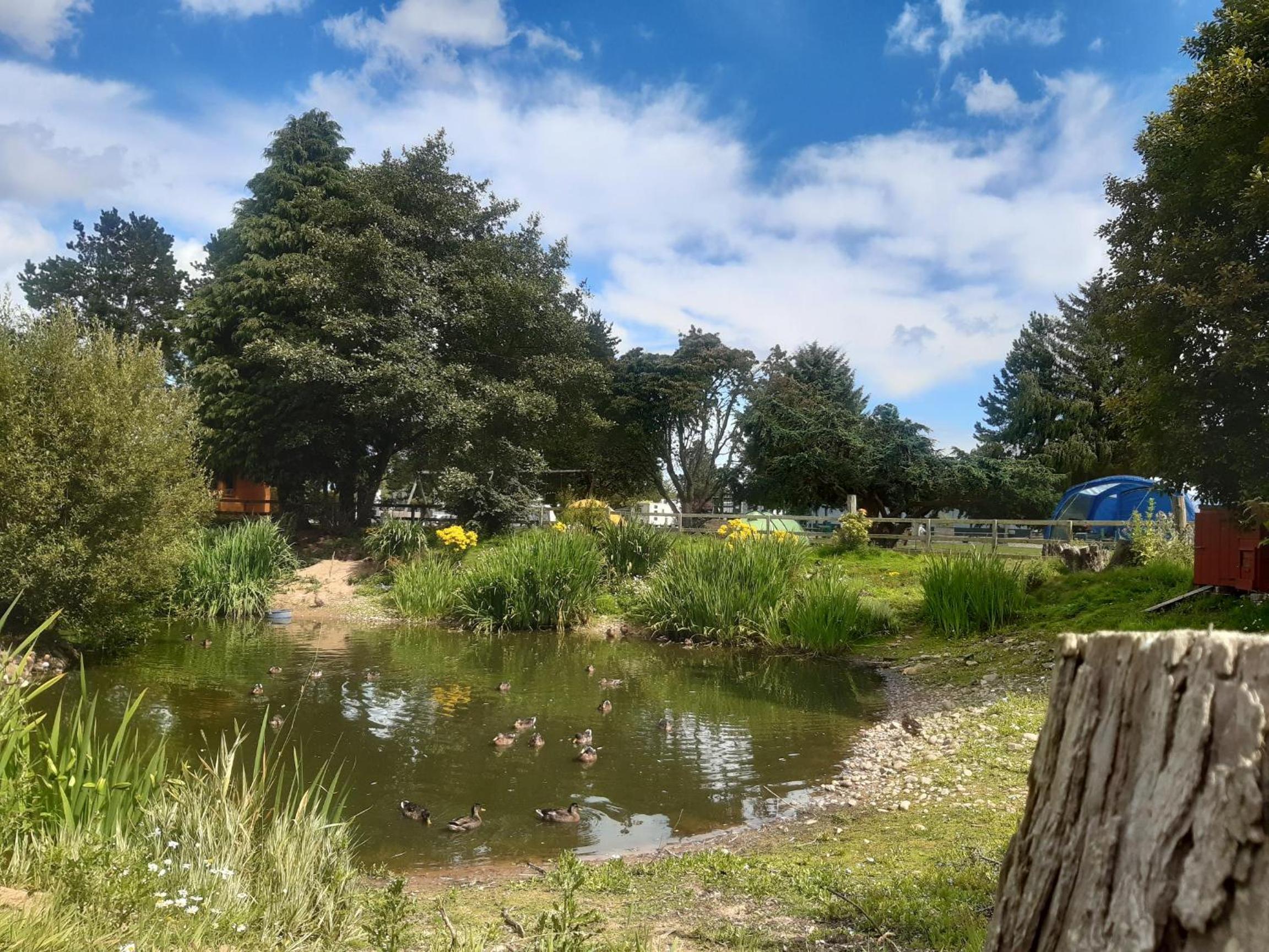 Deeside Holiday Park