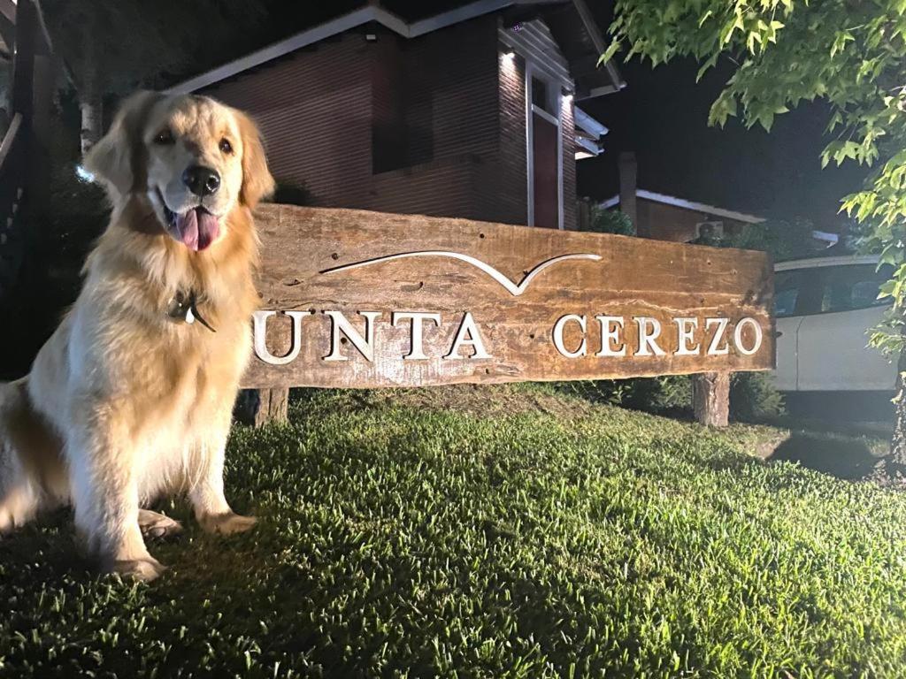 Punta Cerezo Apart