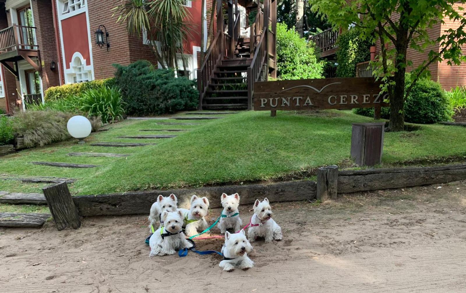Punta Cerezo Apart