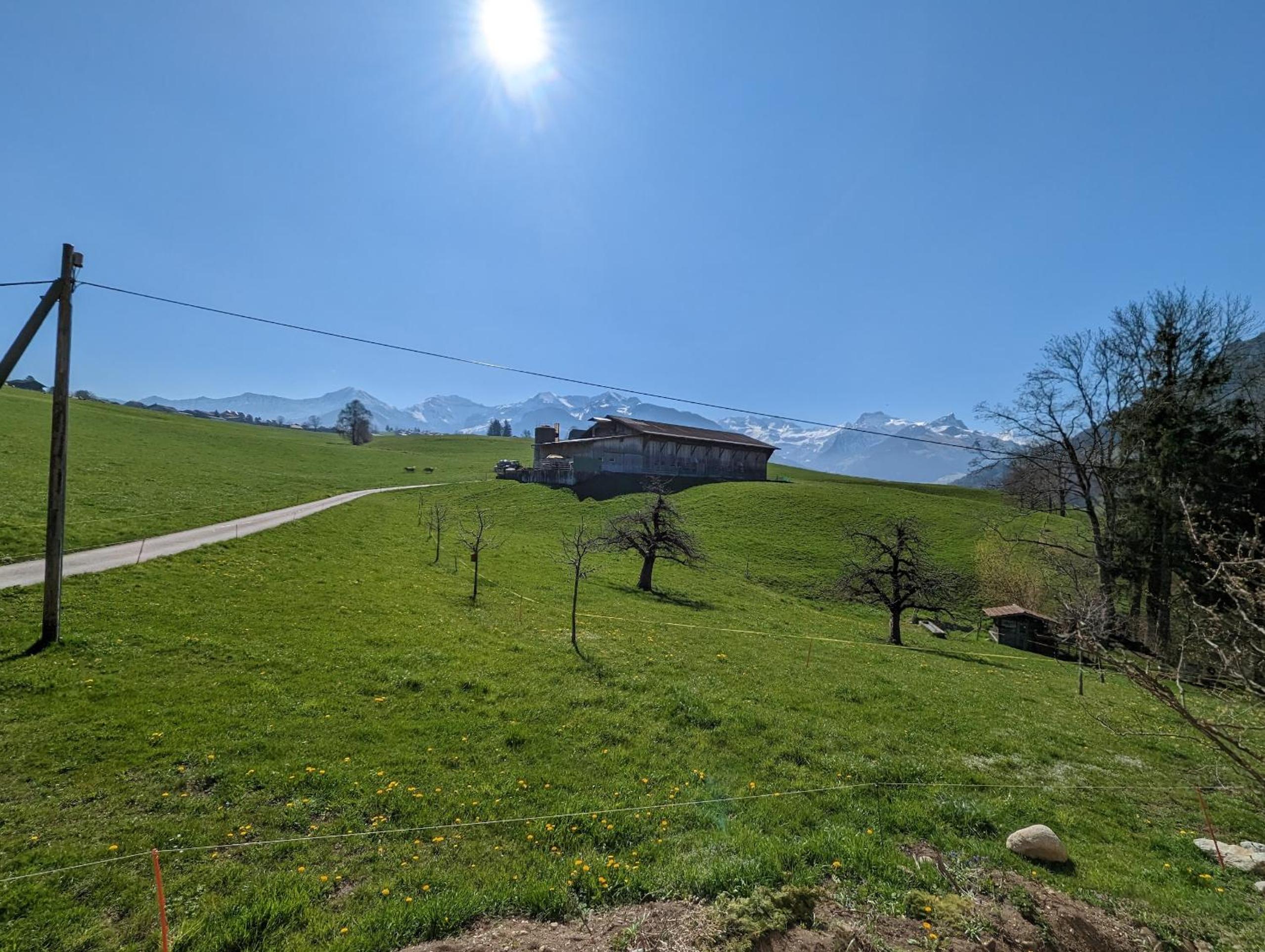 Chalet Mutschli