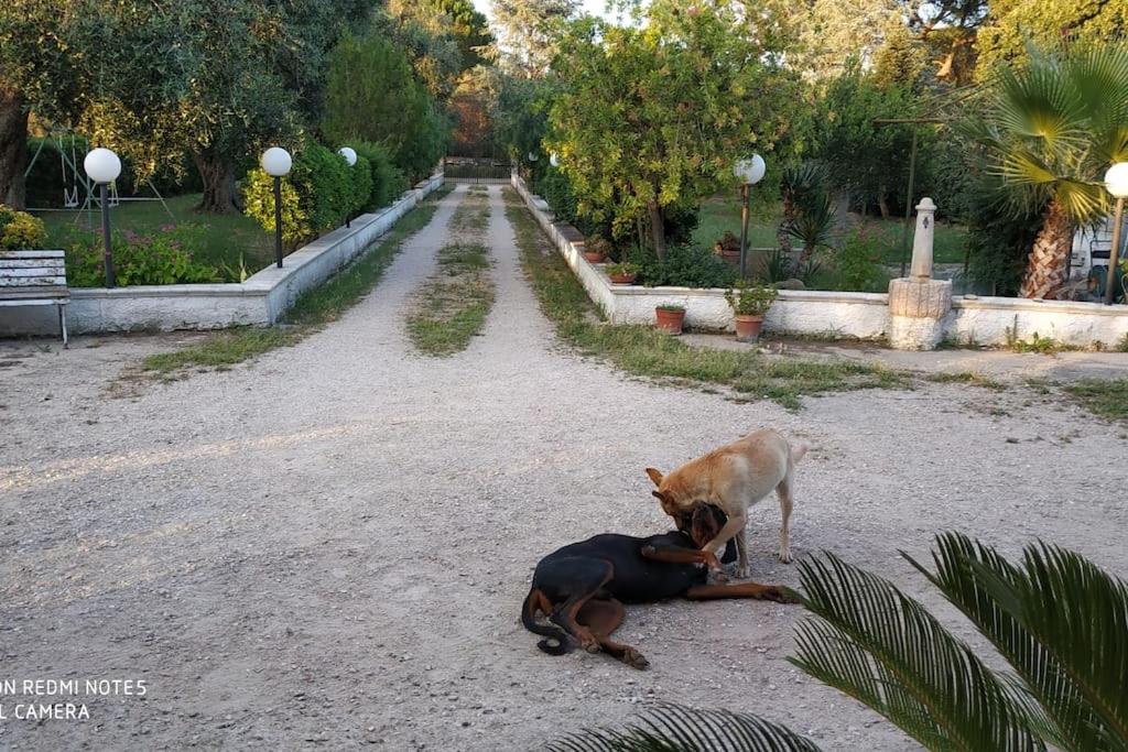 Villa Maila - Accogliente Villetta con Giardino Privato in Salento view 3