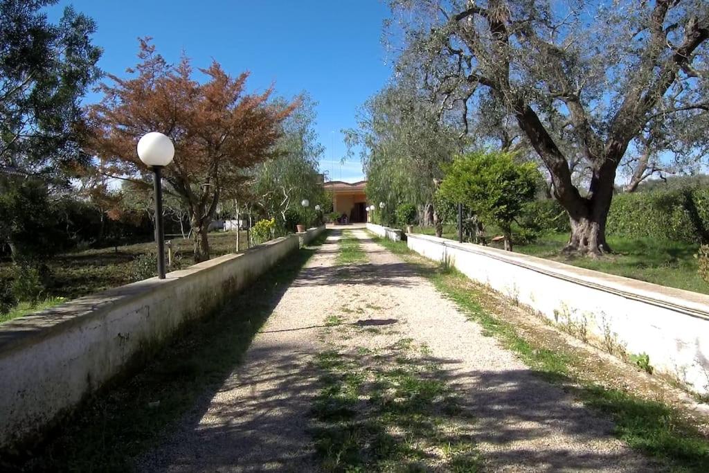 Photo 20
