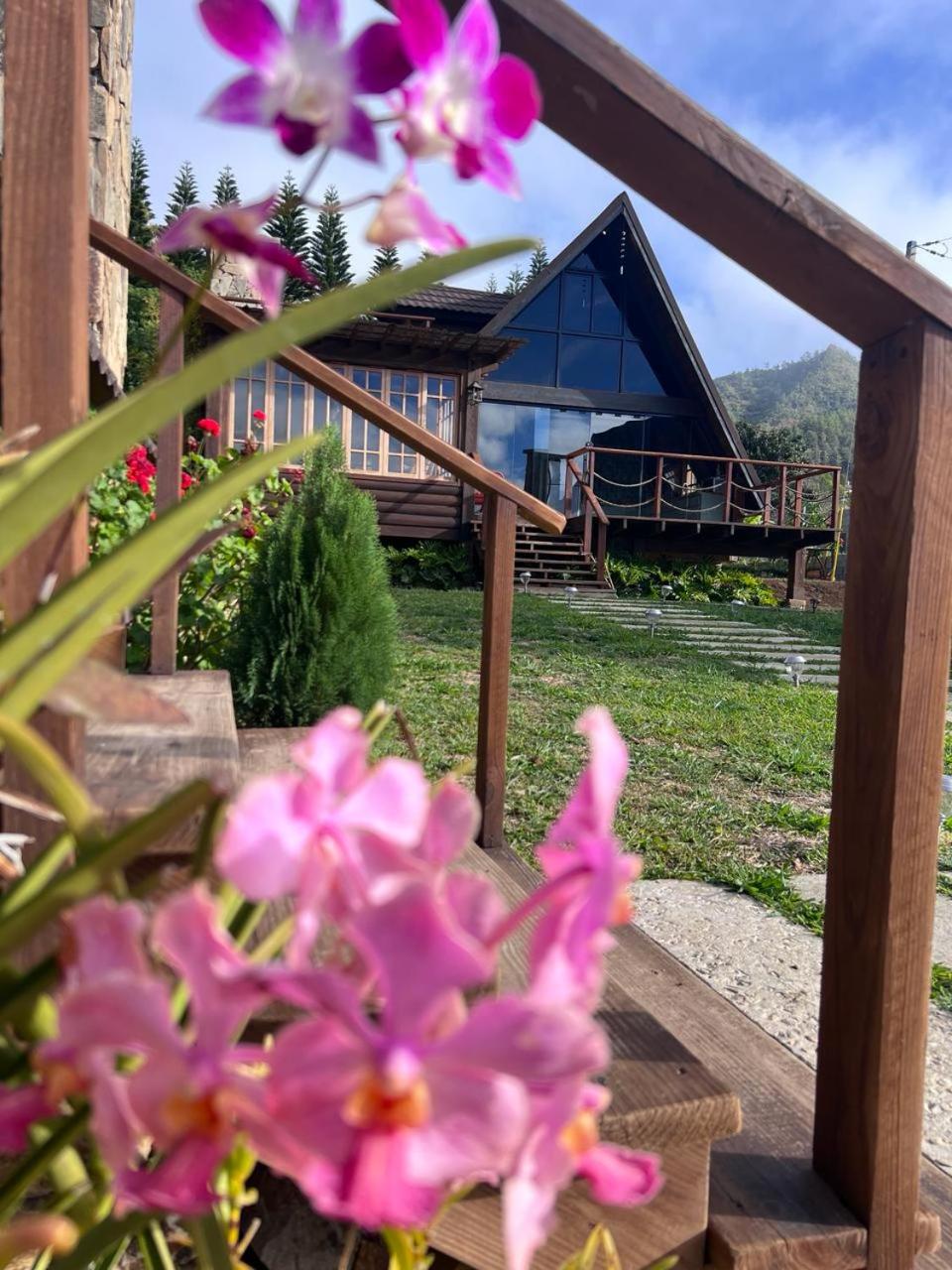 Cacha's Wood Cabins