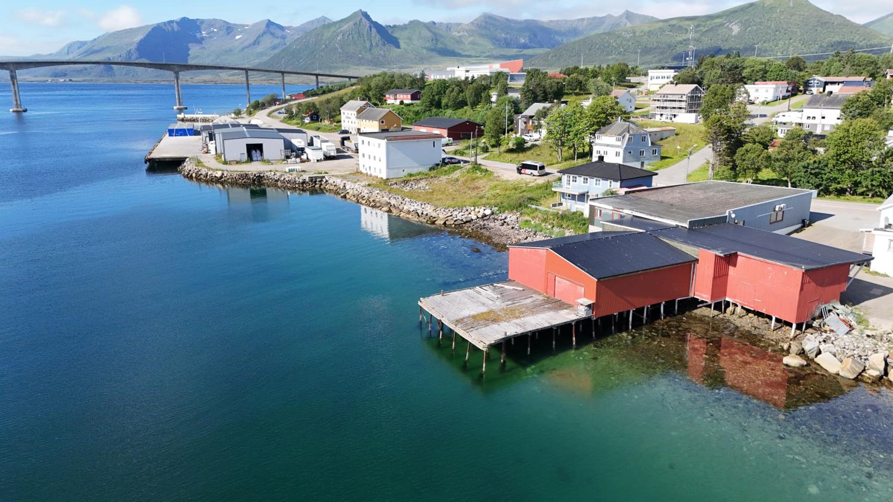 Risøyhamn Kafe