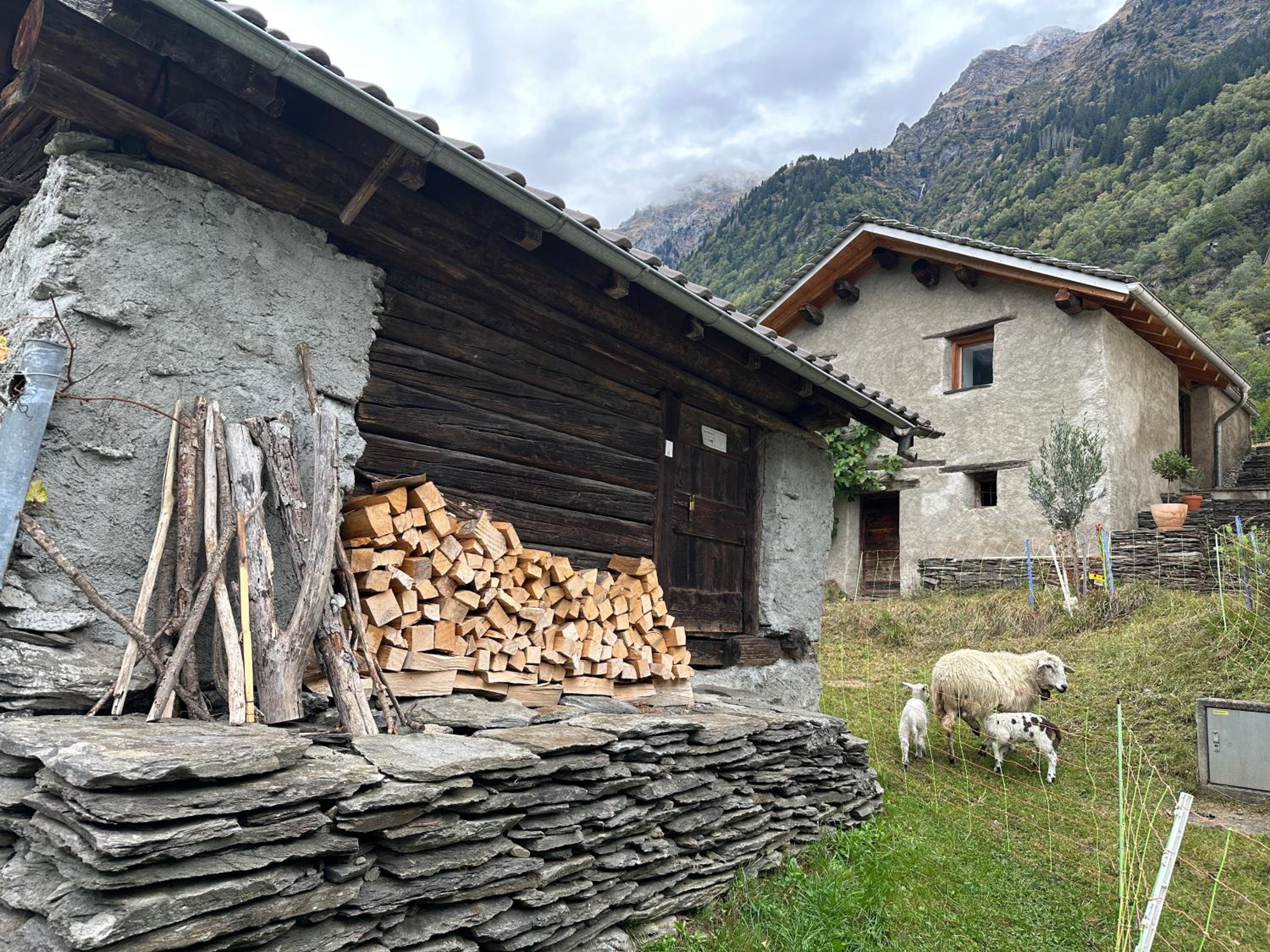 Waterfall House - retreat, swim, bike, hike and ski