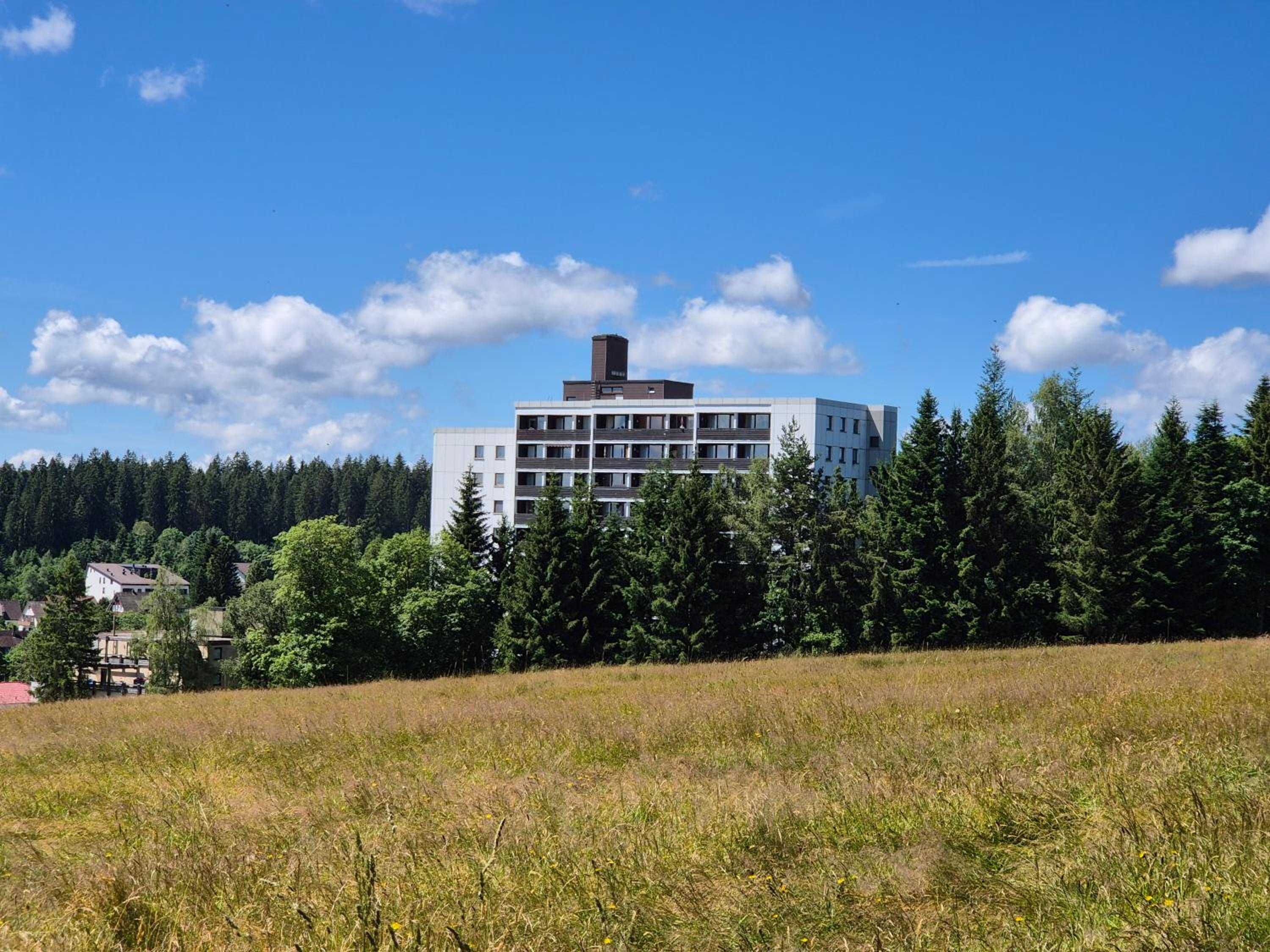 FeWo Schwarzwald von oben - Kniebis