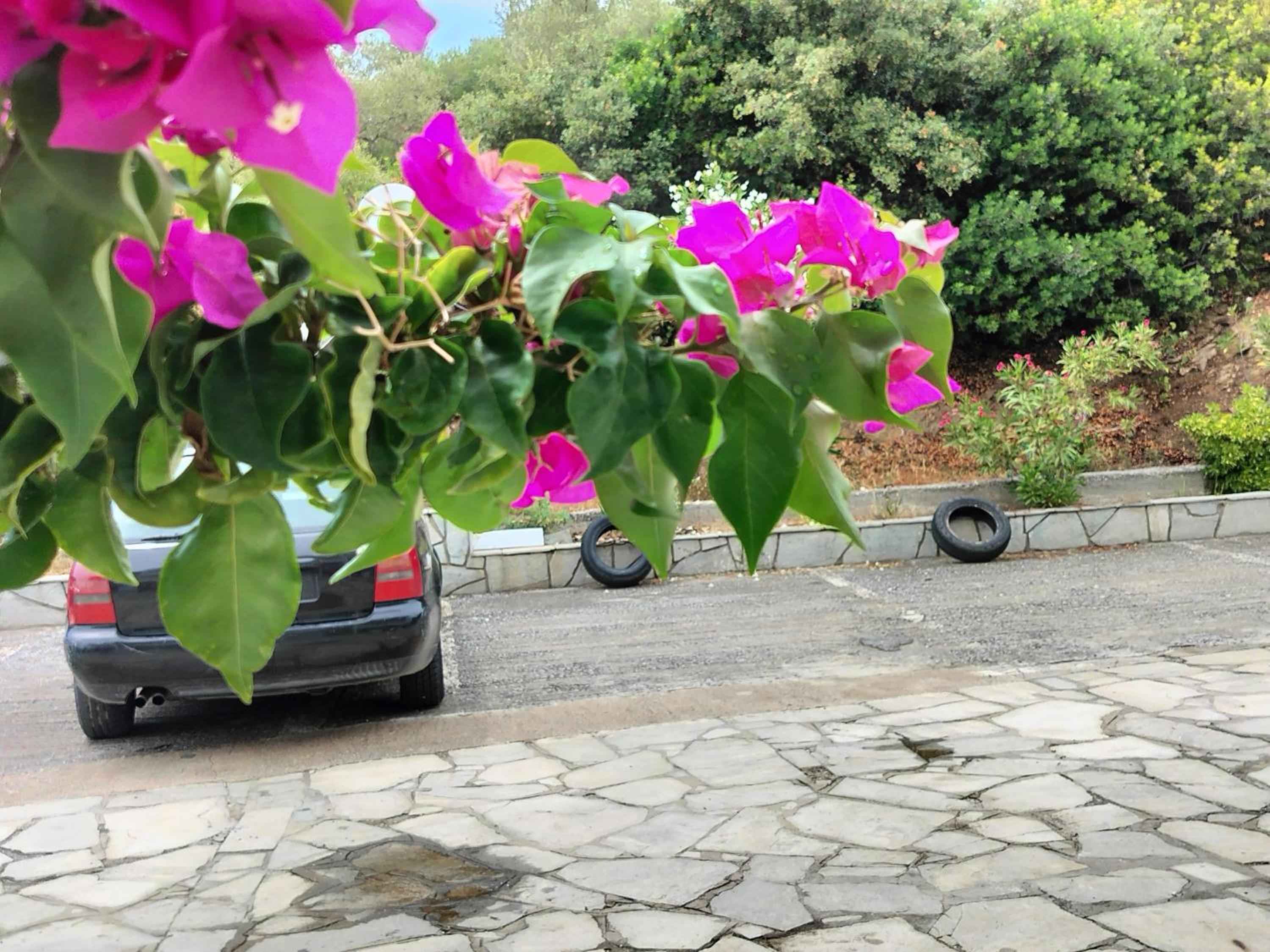 parking