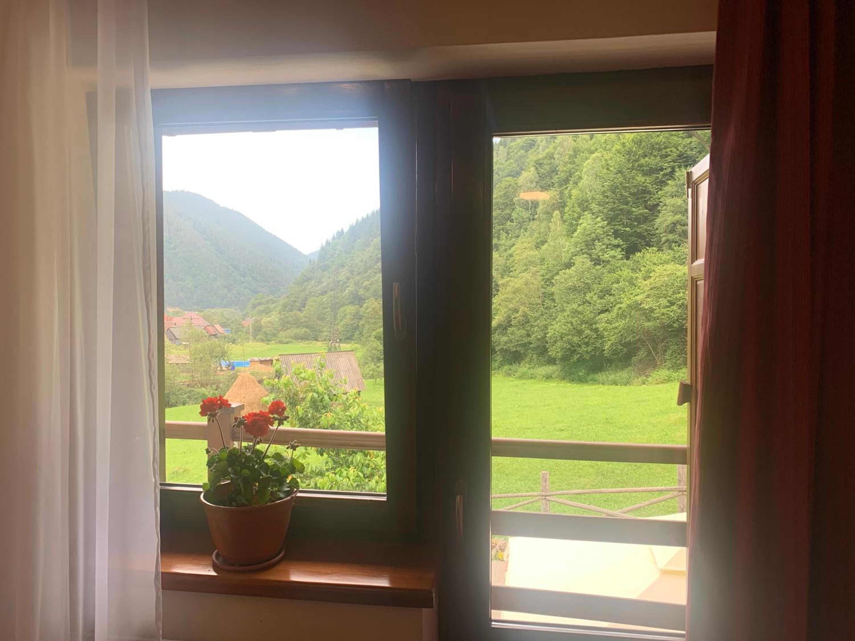 Pensiunea Valea Pinului view 5