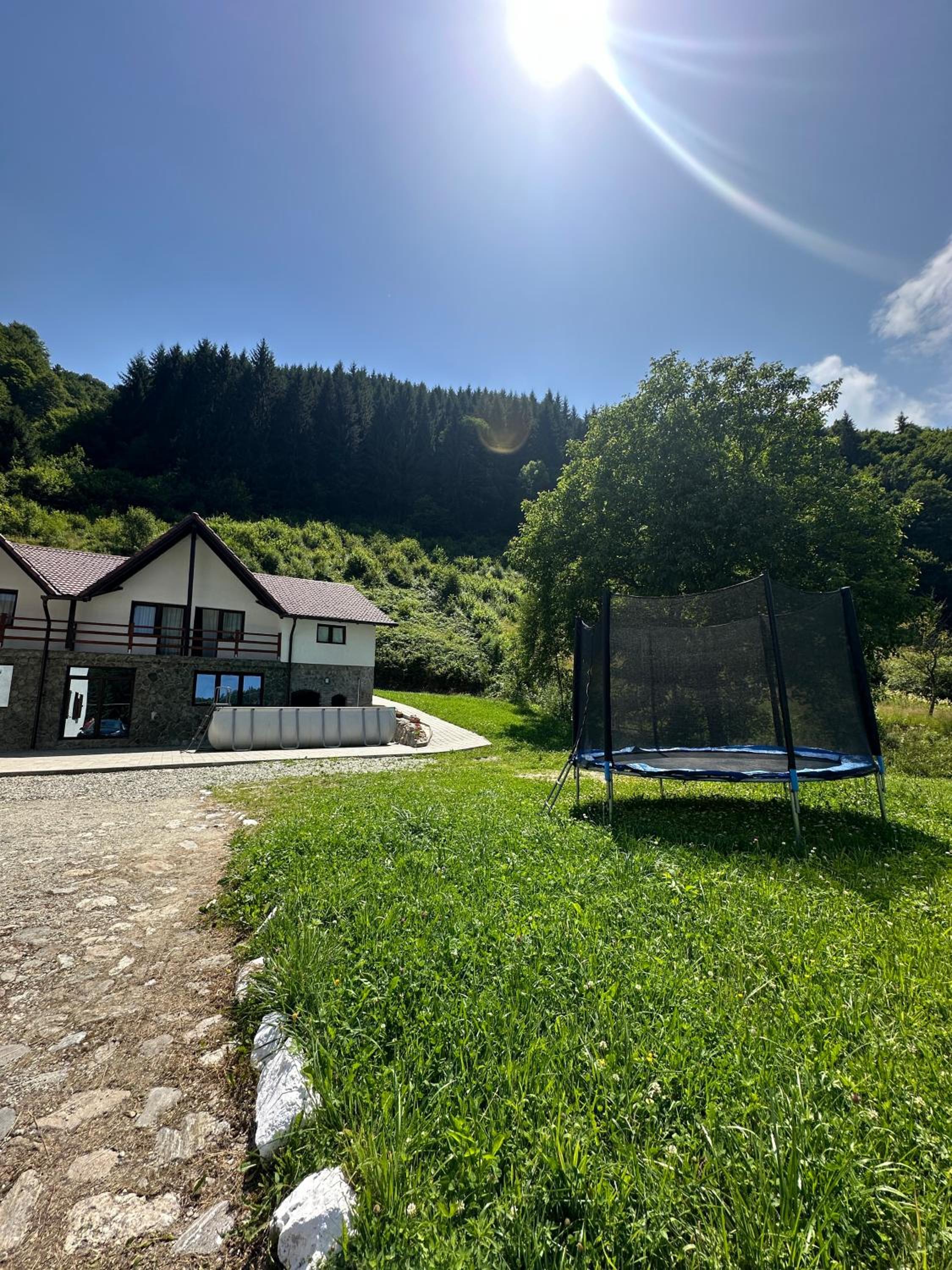 Pensiunea Valea Pinului view 4