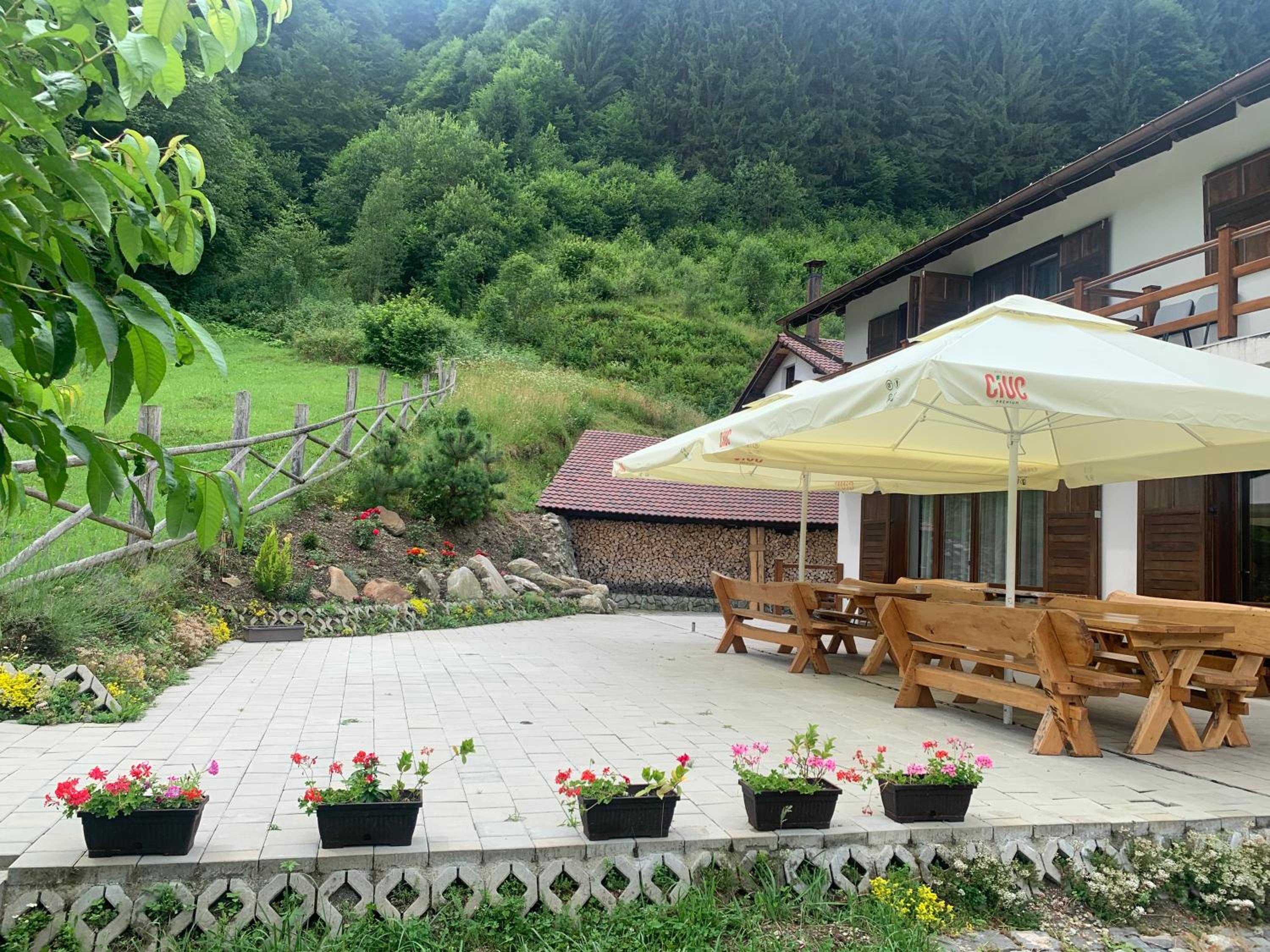 Pensiunea Valea Pinului view 3