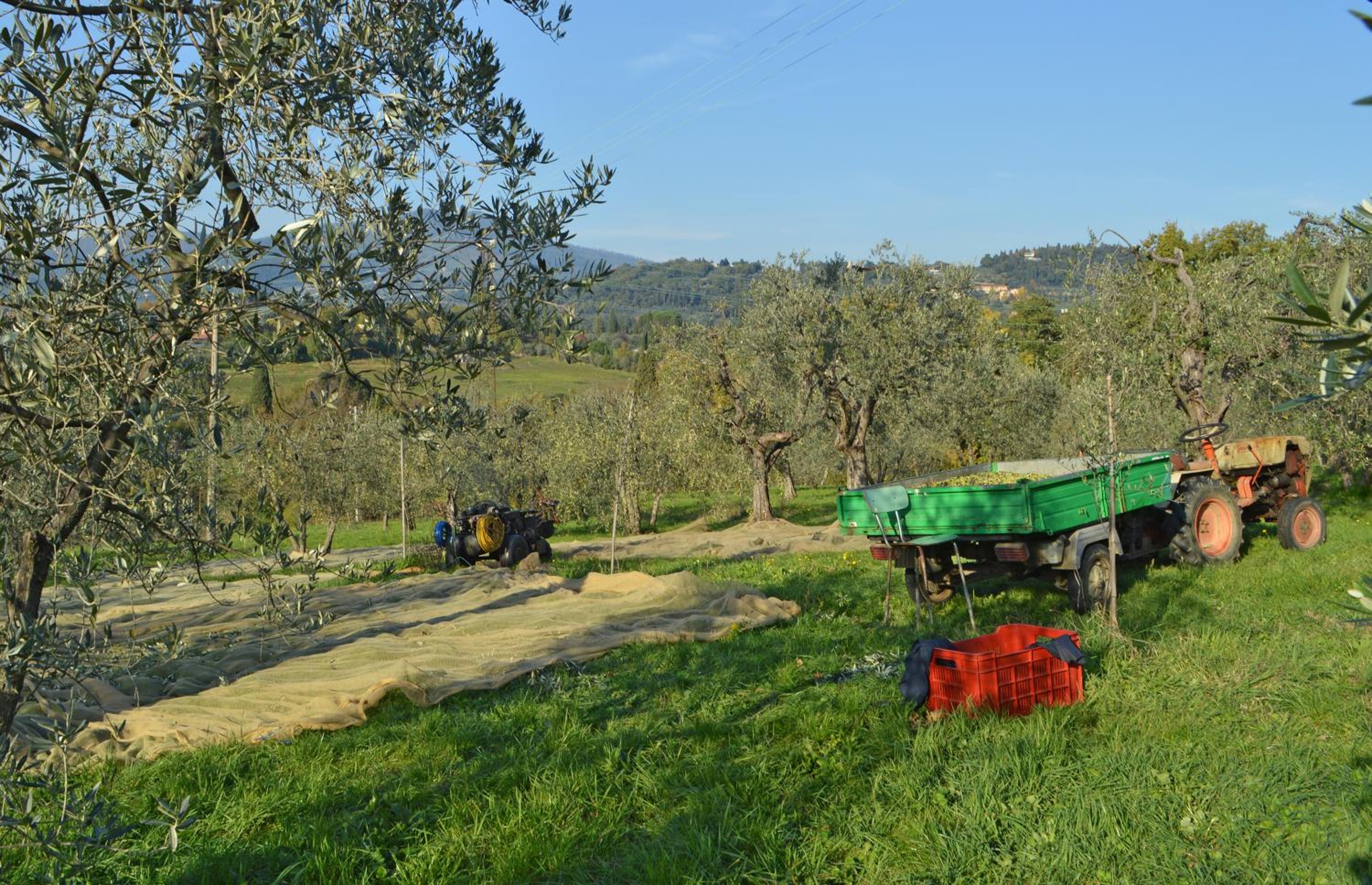 Armonie di Villa Incontri B&B