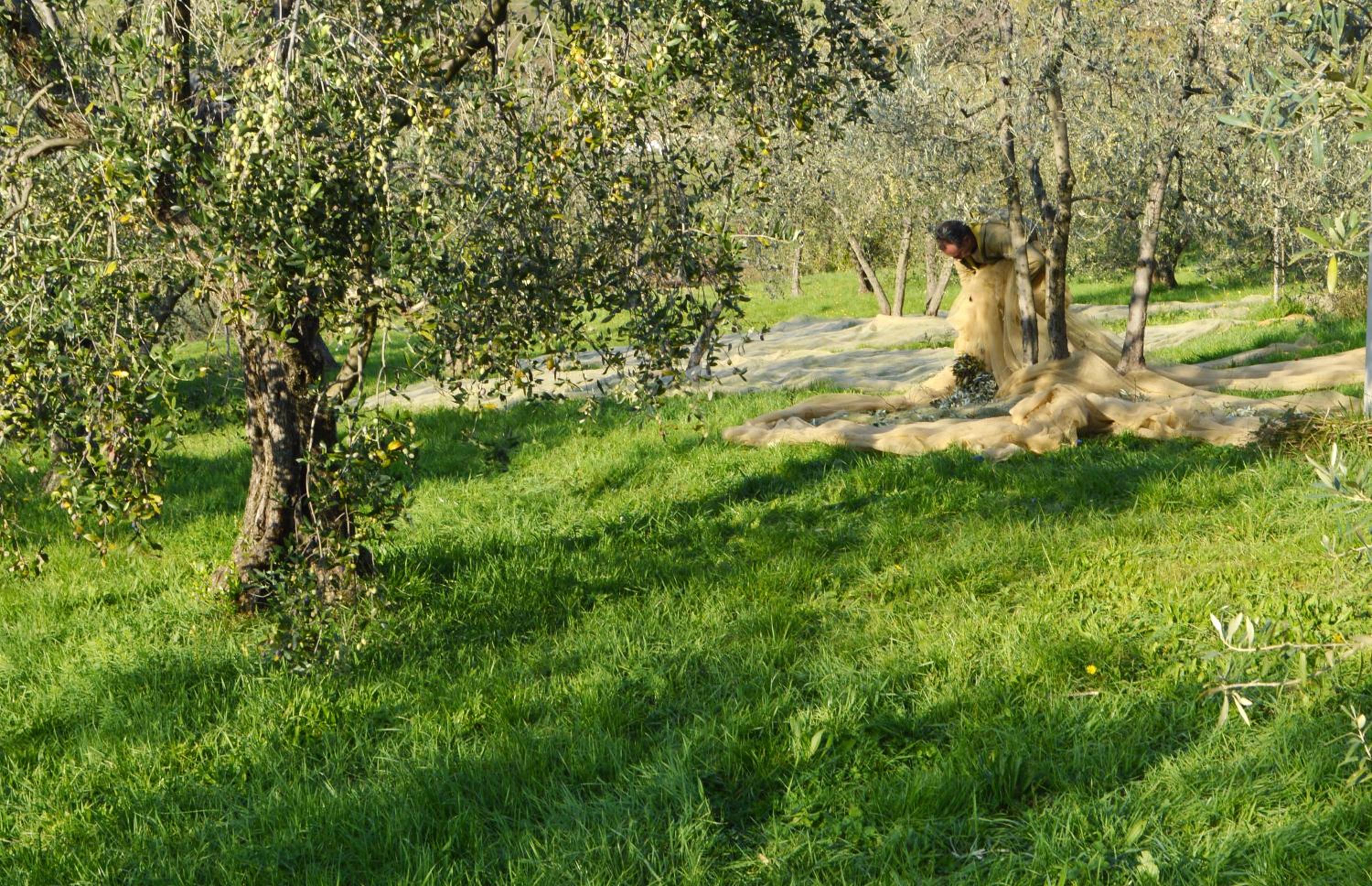 Armonie di Villa Incontri B&B