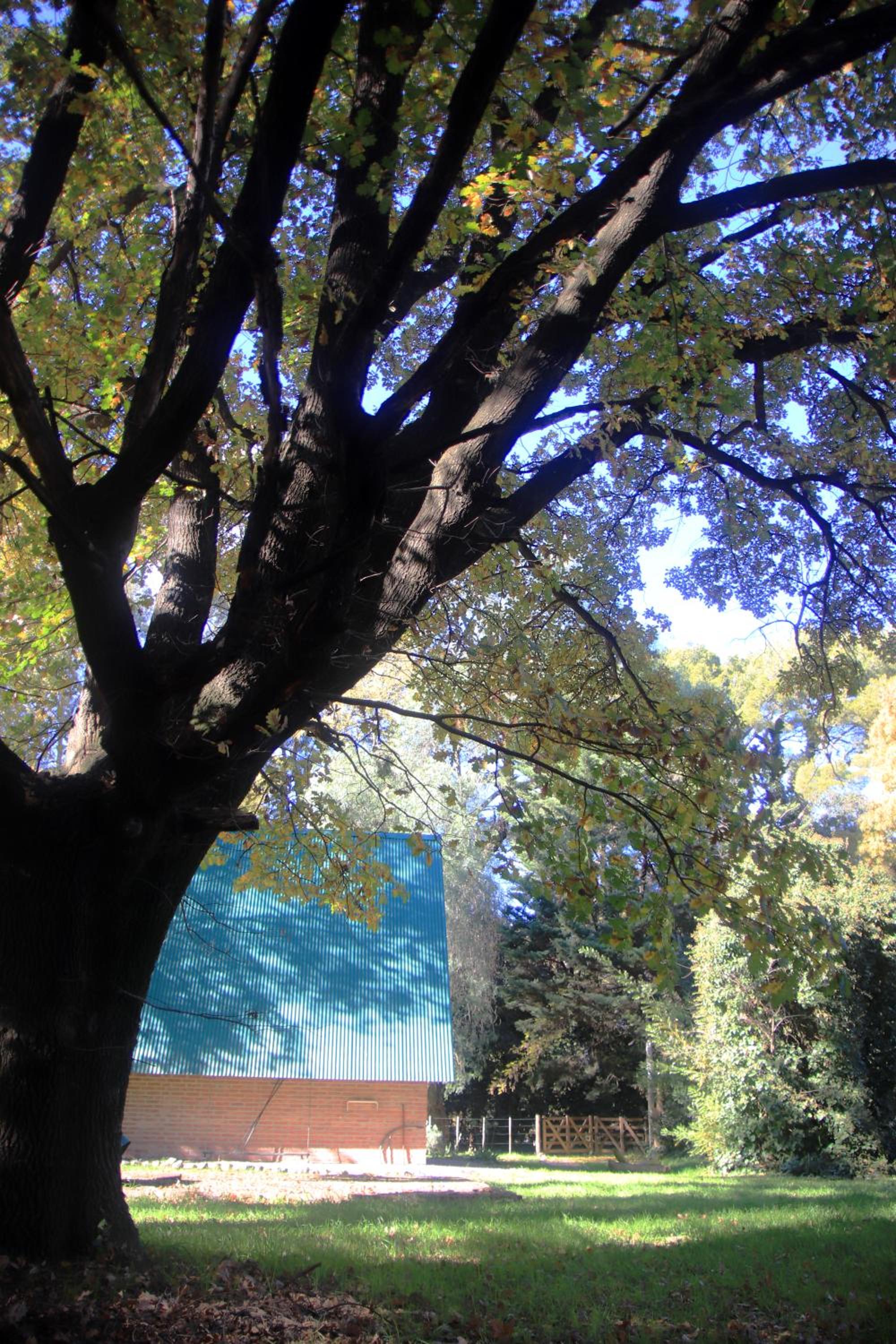 Casa del Roble