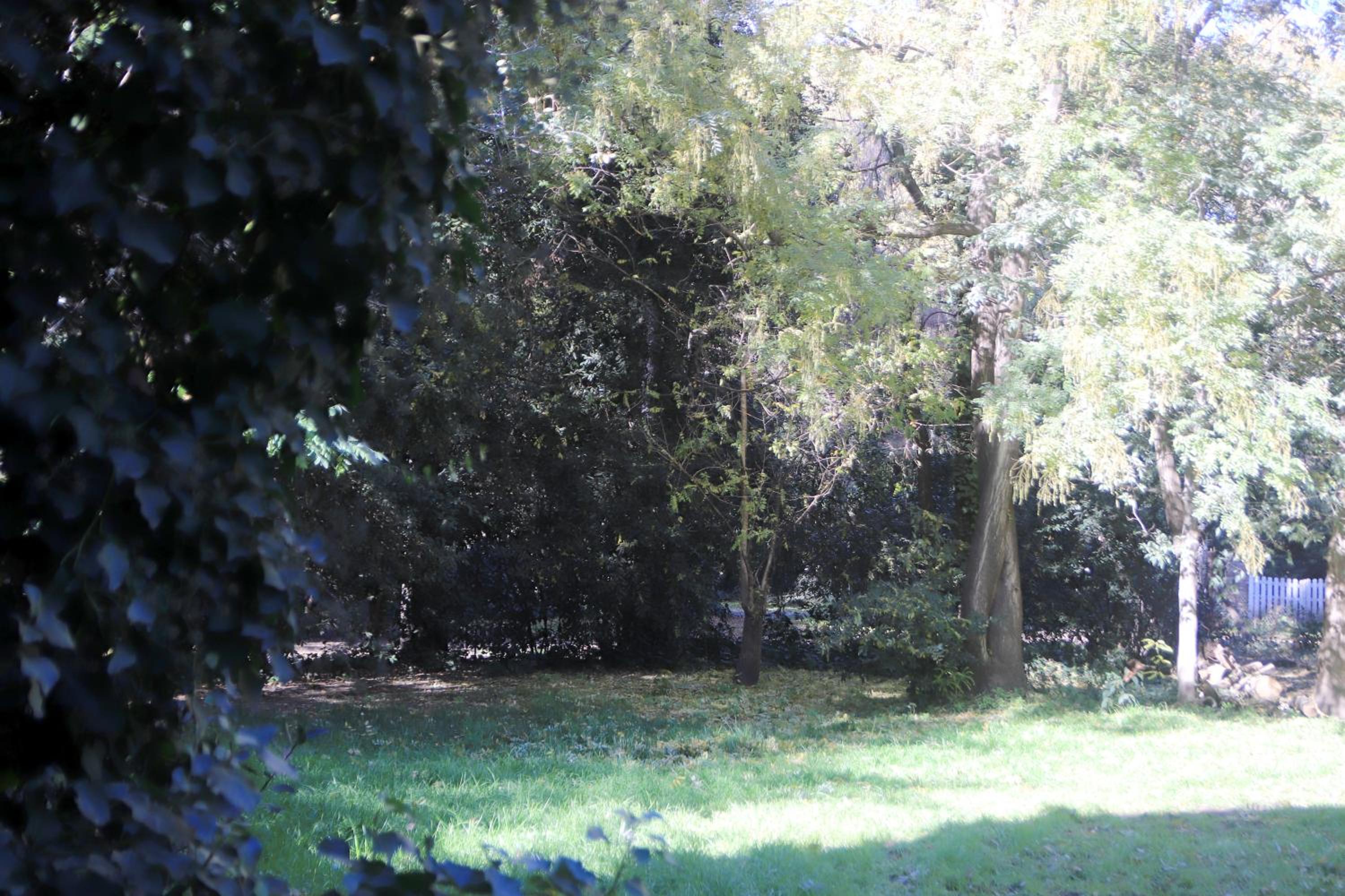 Casa del Roble
