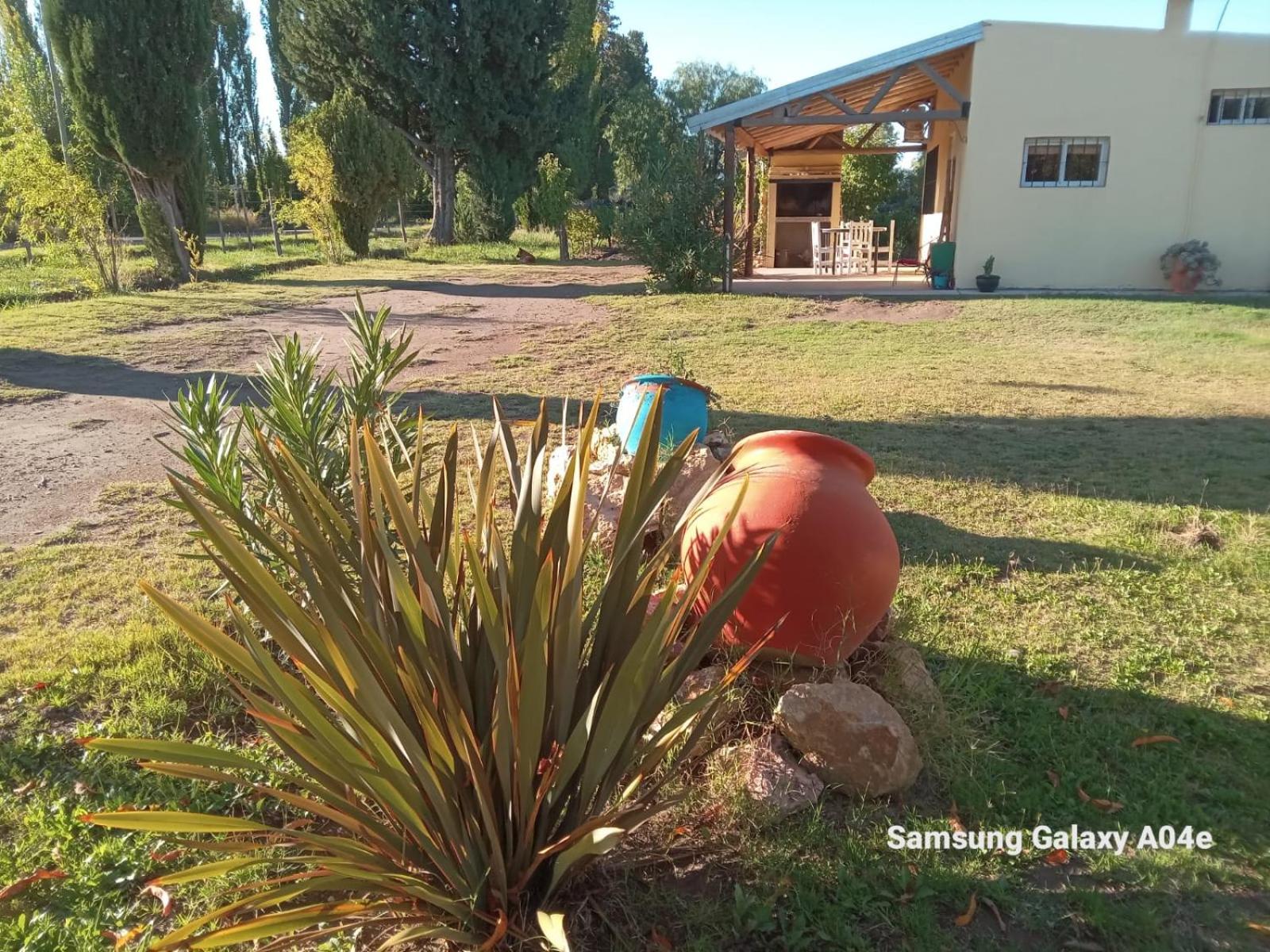 Finca Don Pedro