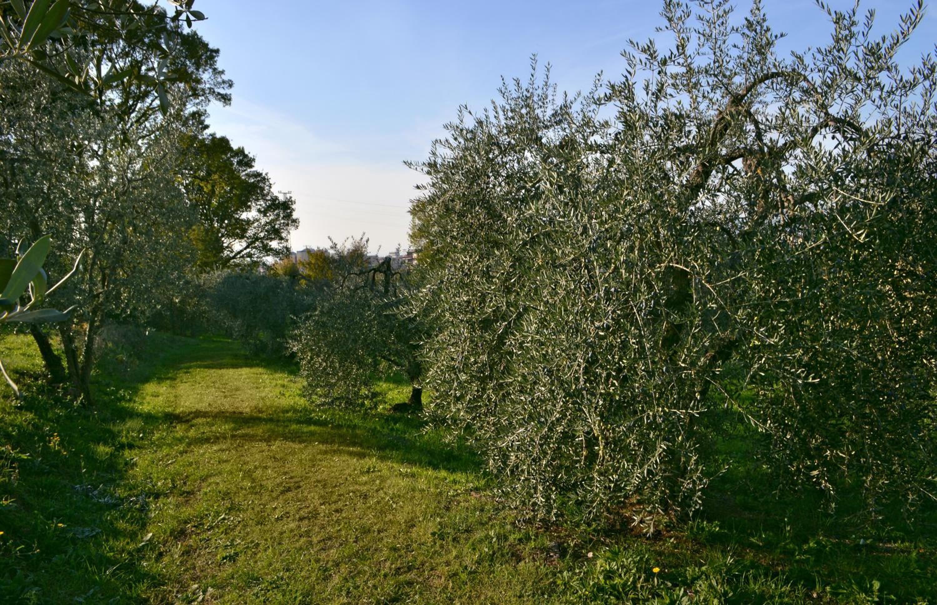 Armonie di Villa Incontri B&B