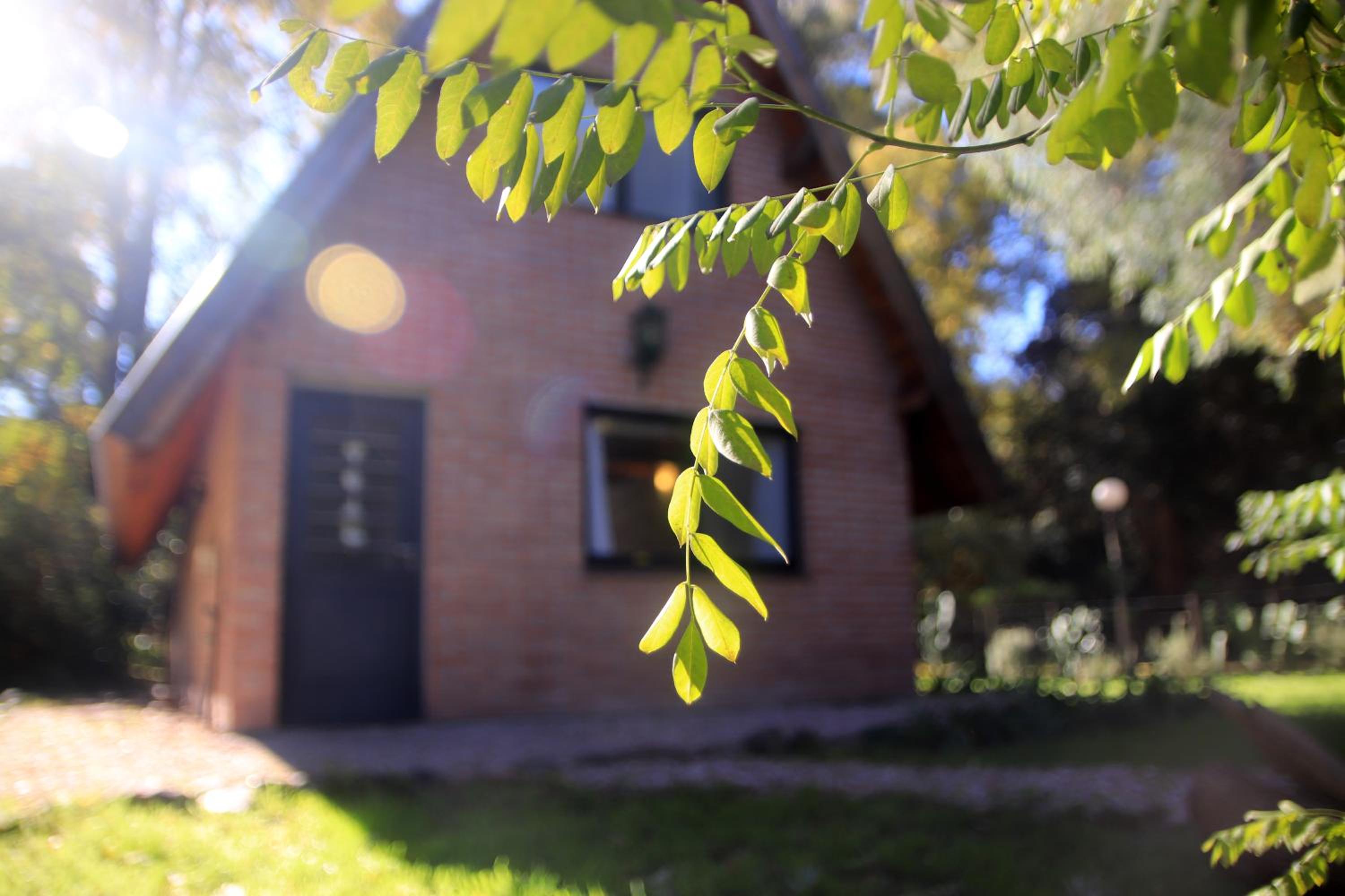 Casa del Roble