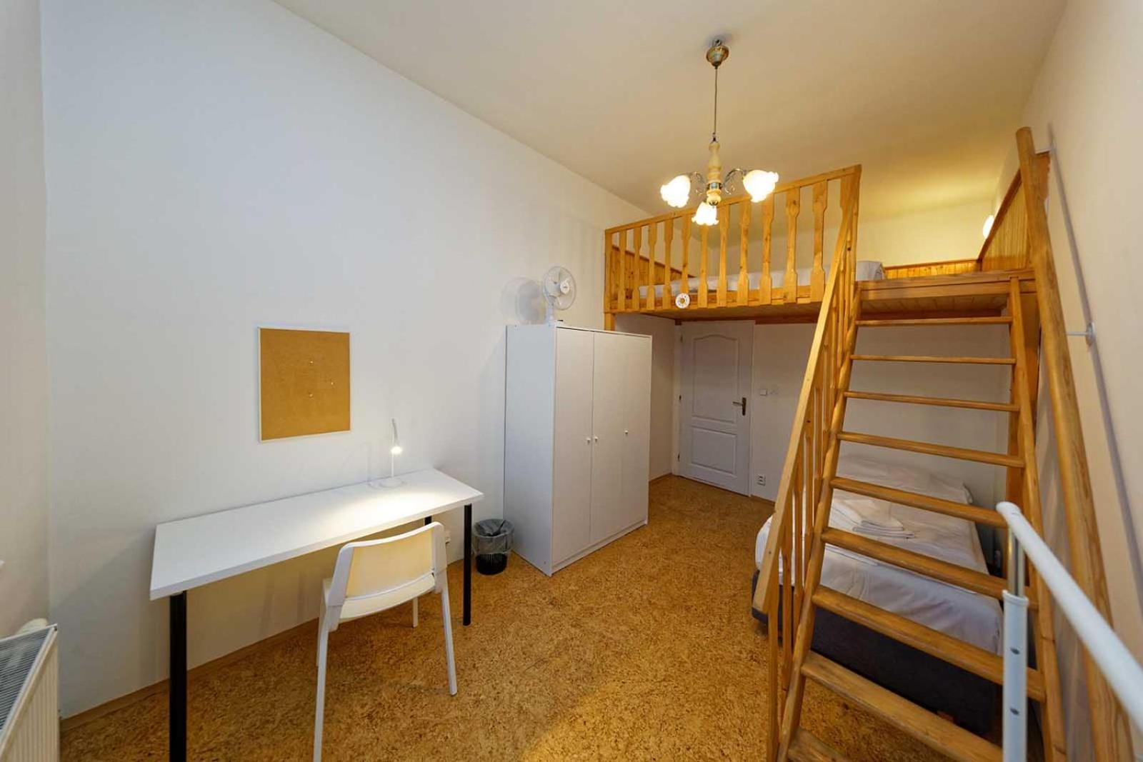 Apartment Lublanska 48
