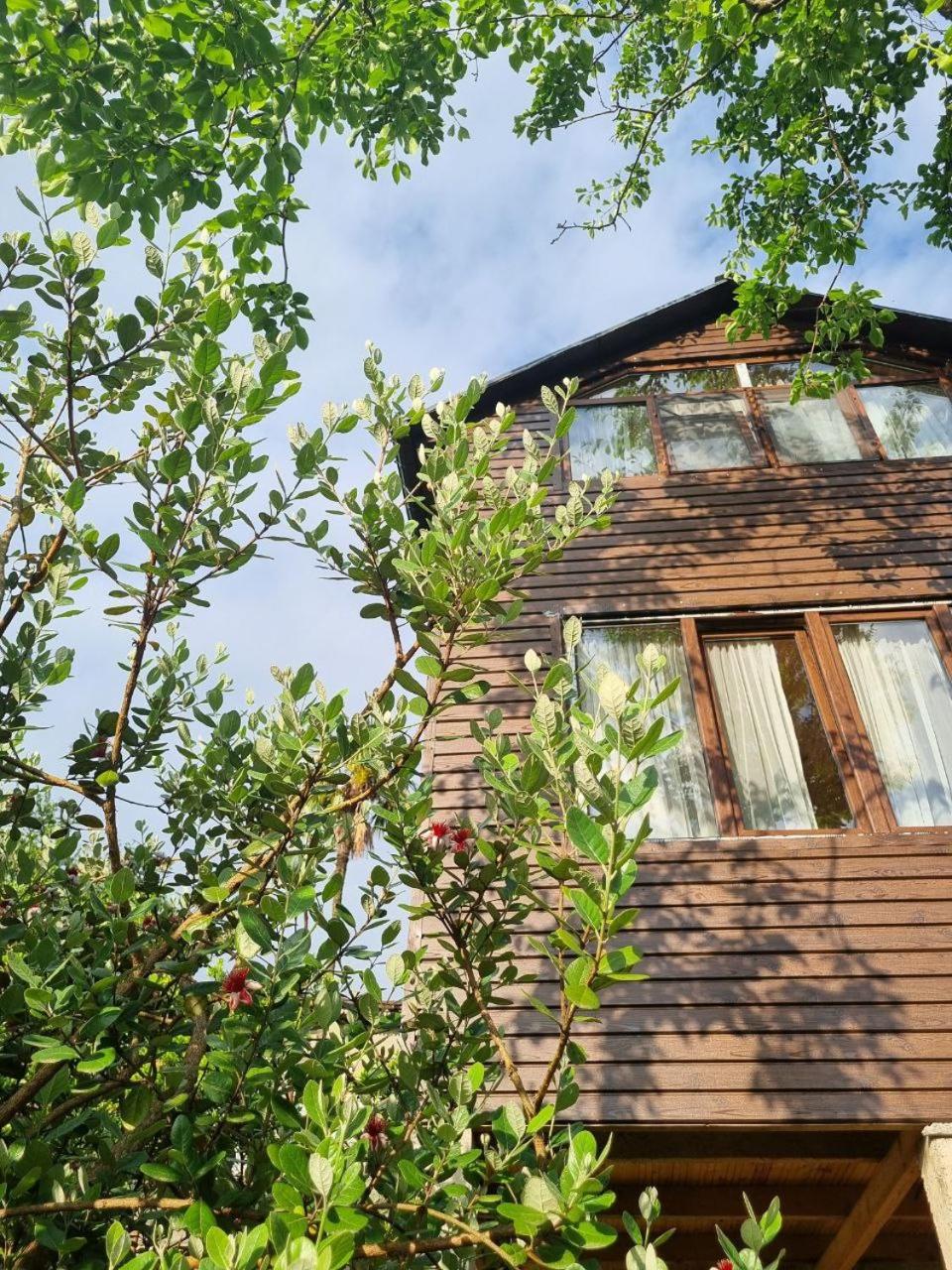 Giorgis cottage