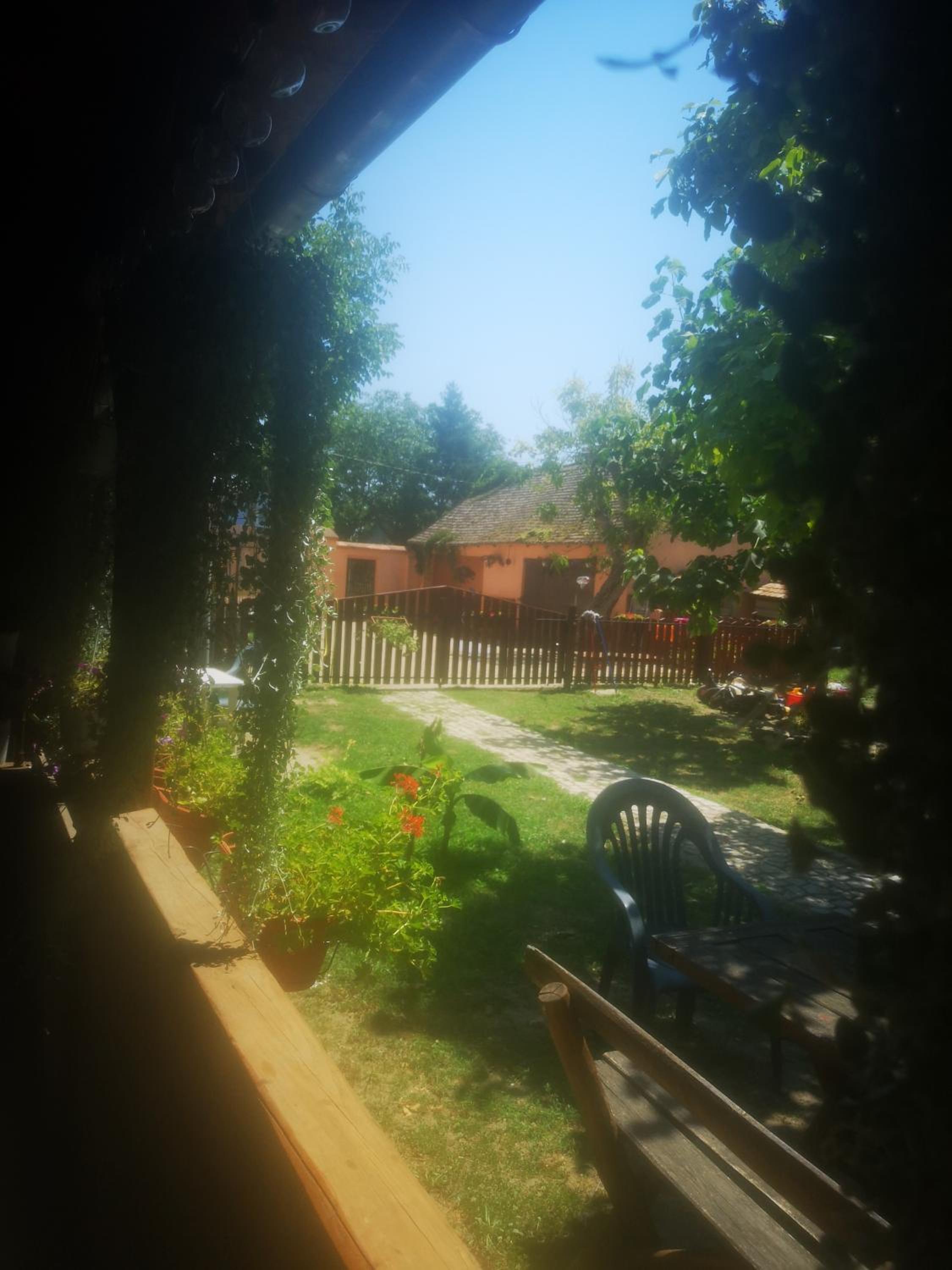Photo 49