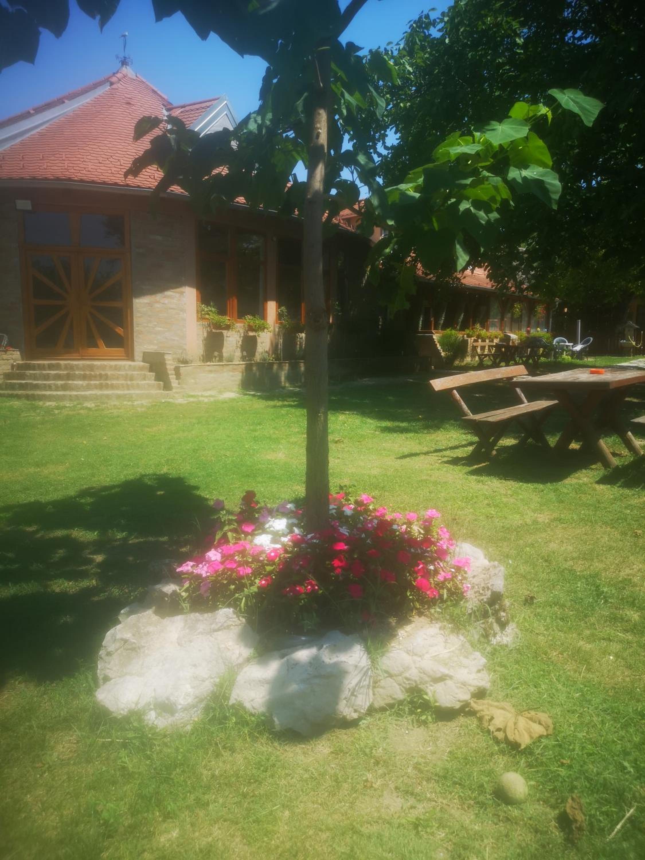 Photo 7