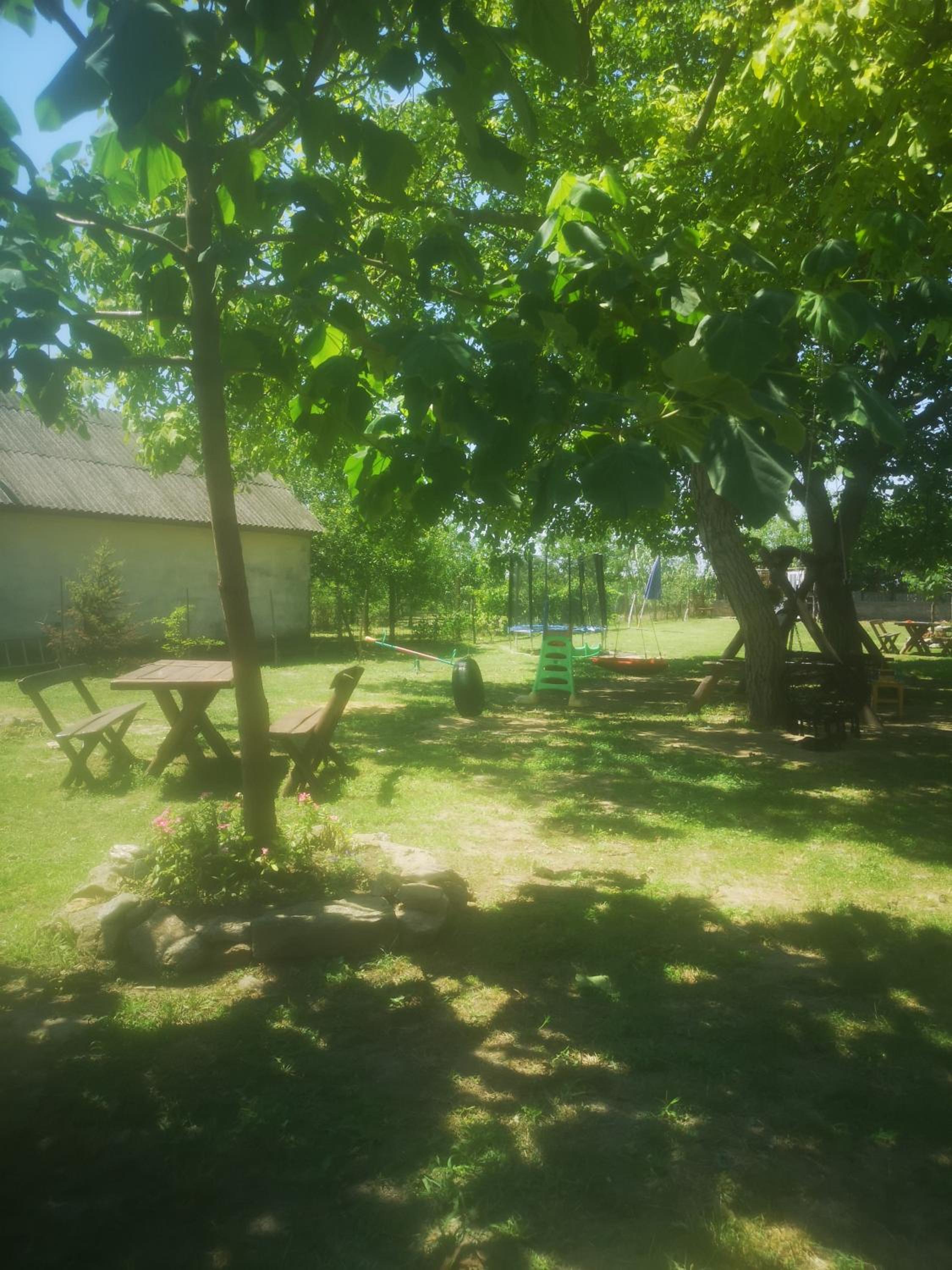 Photo 18