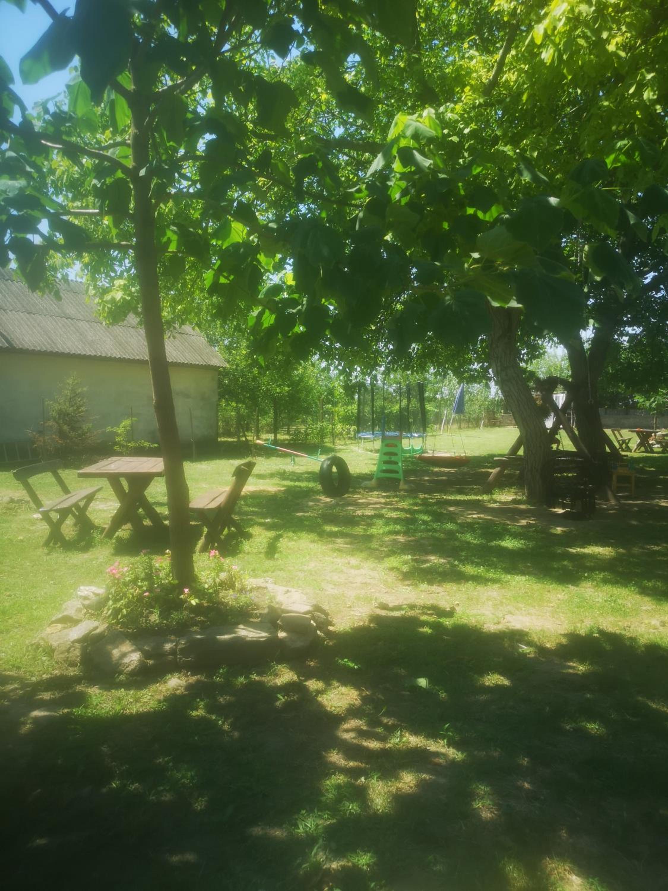 Photo 13