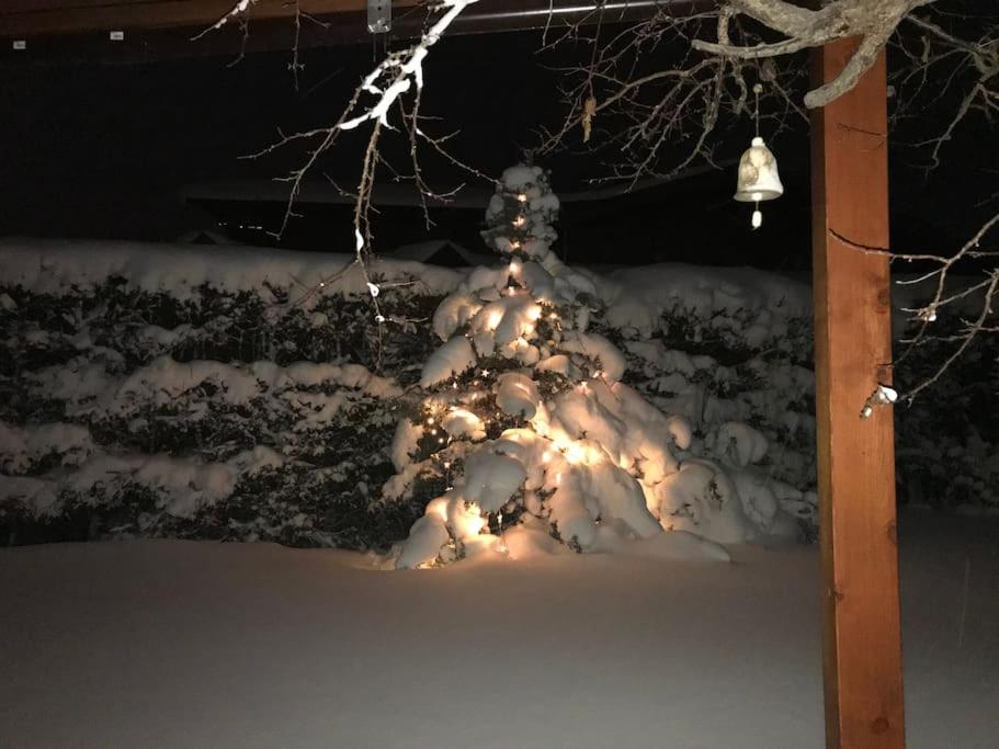 Traumhaftes Appartement mitten im Skigebiet