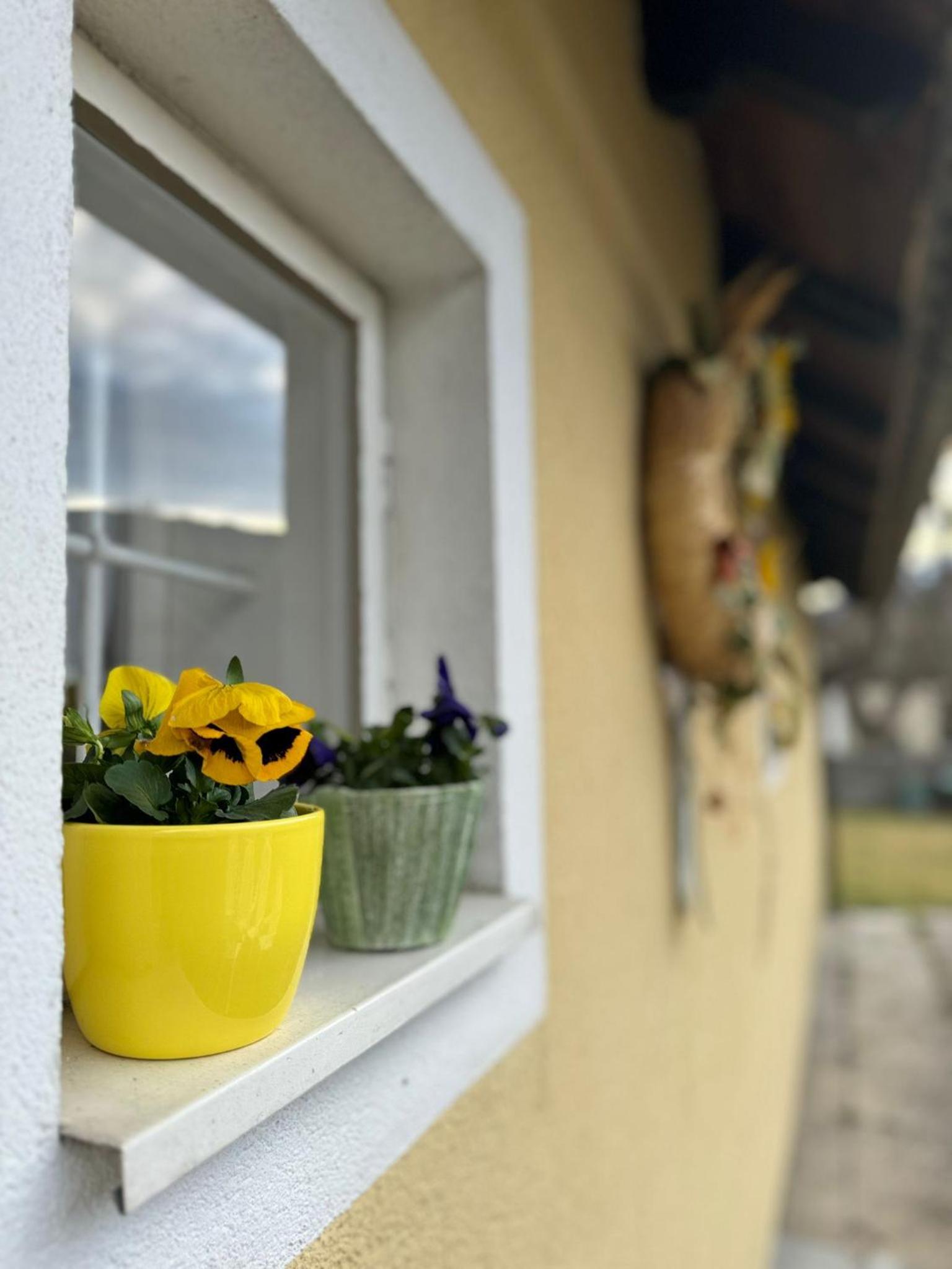 Kleines Häuschen im Tauernstädtchen Gmünd