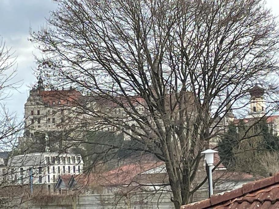 Stadtmitte mit Schlossblick
