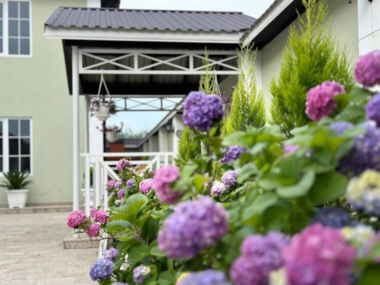Villa Yard