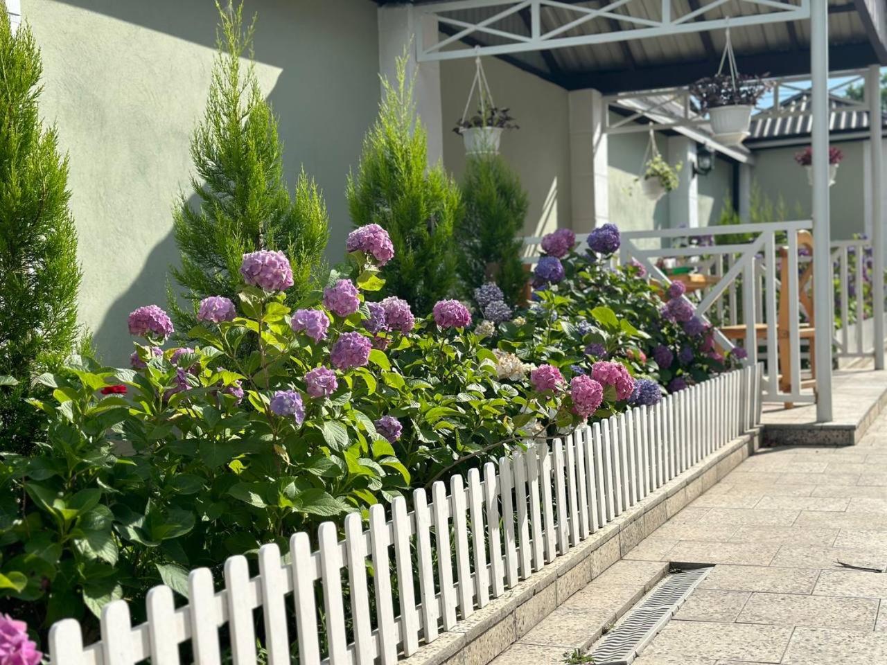 Villa Yard