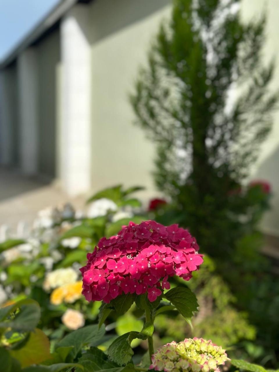 Villa Yard
