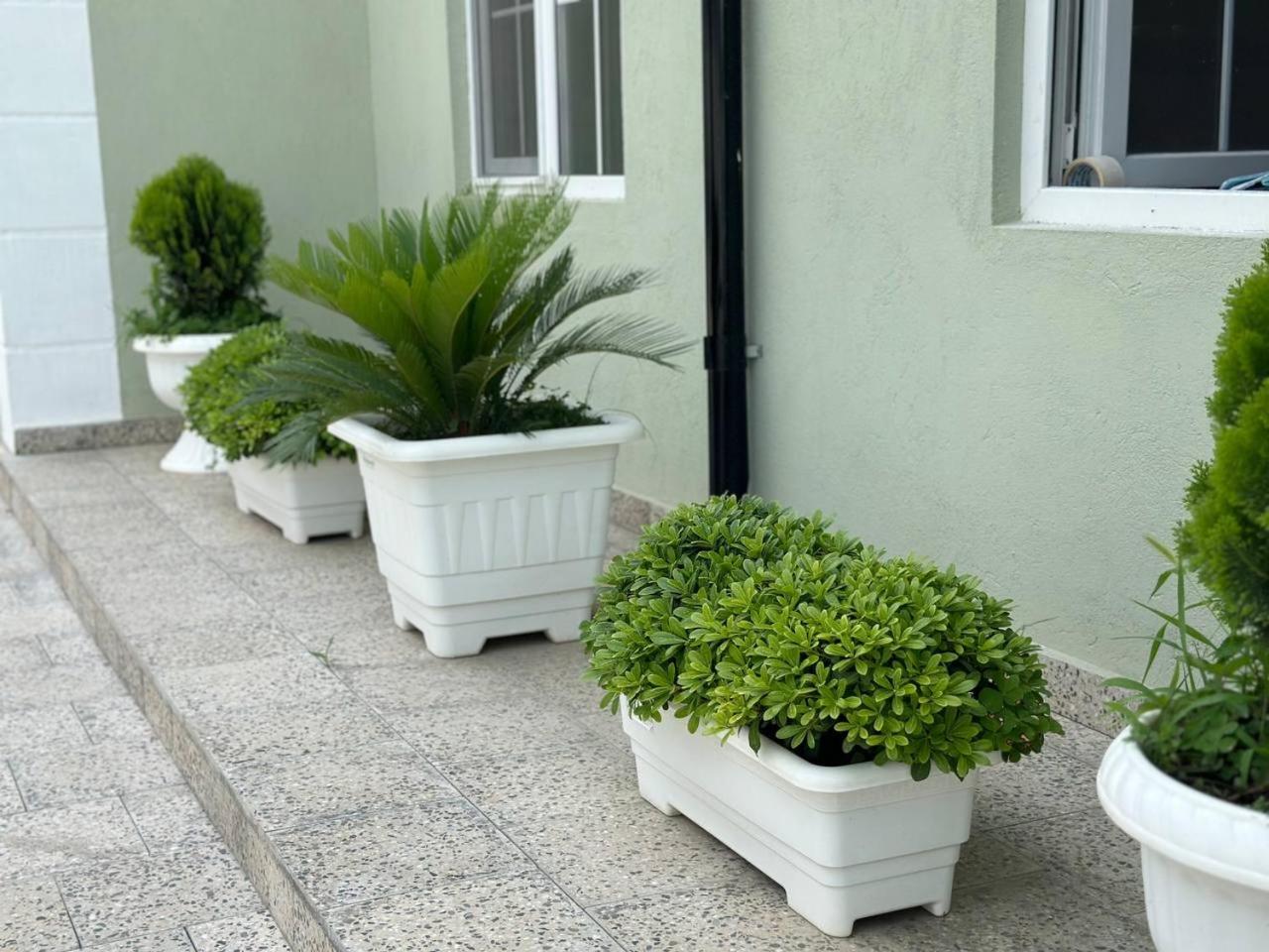 Villa Yard