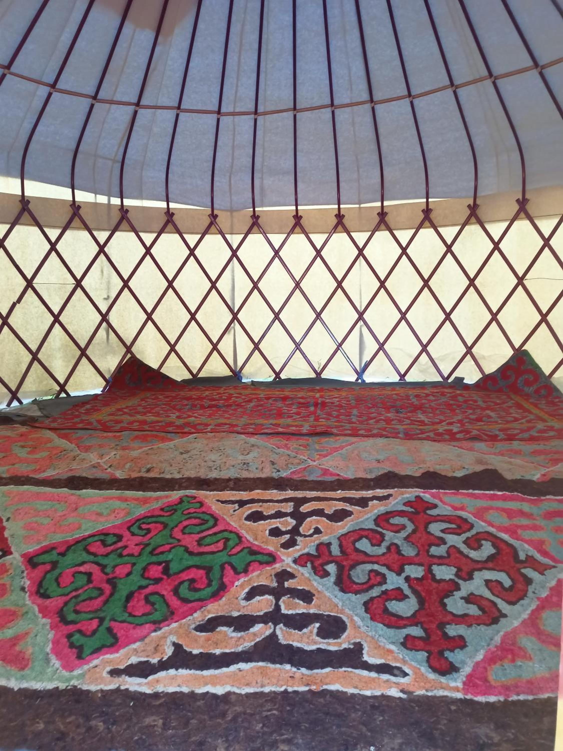 Feel Nomad, Yurt Bishkek view 4