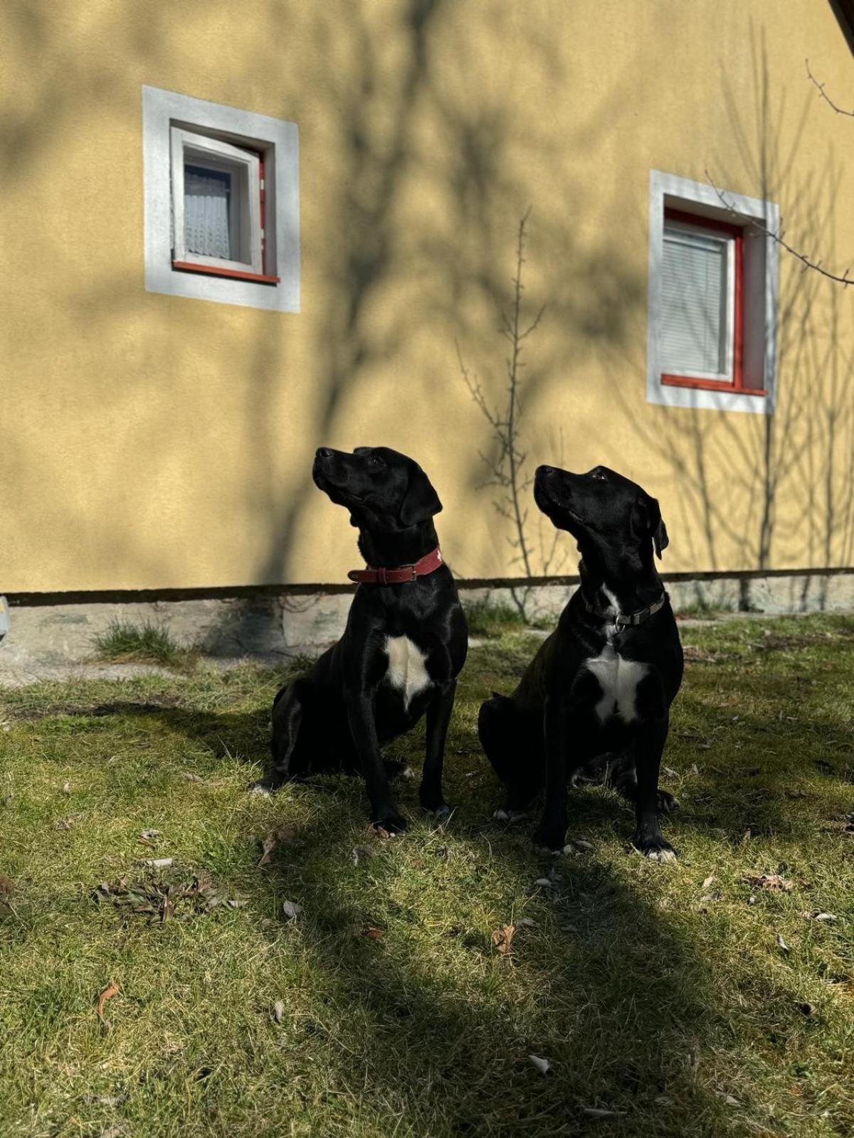 Kleines Häuschen im Tauernstädtchen Gmünd