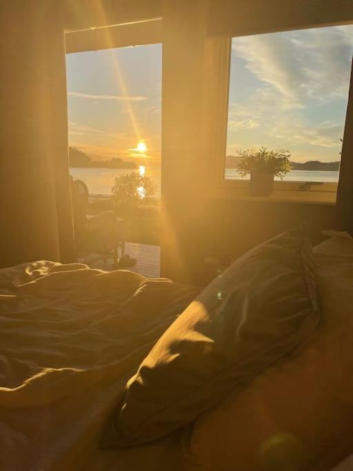 House by the sea Stunning sunset view and good conditions for sun all day and afternoon view 4