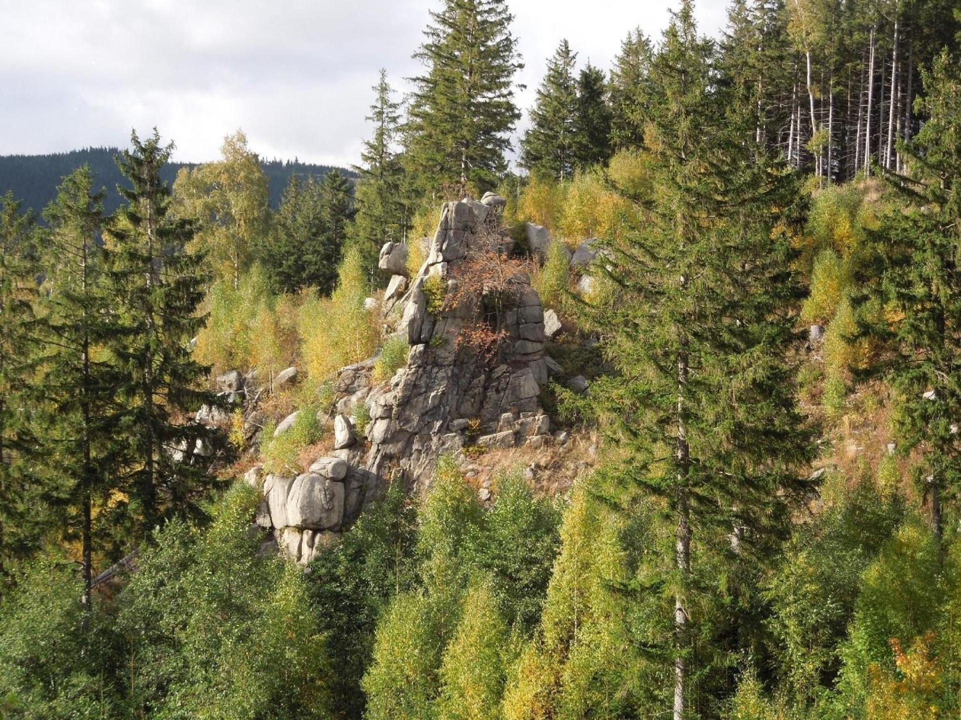 Blockhaus mit Terrasse und Grill am Bodewasserfall