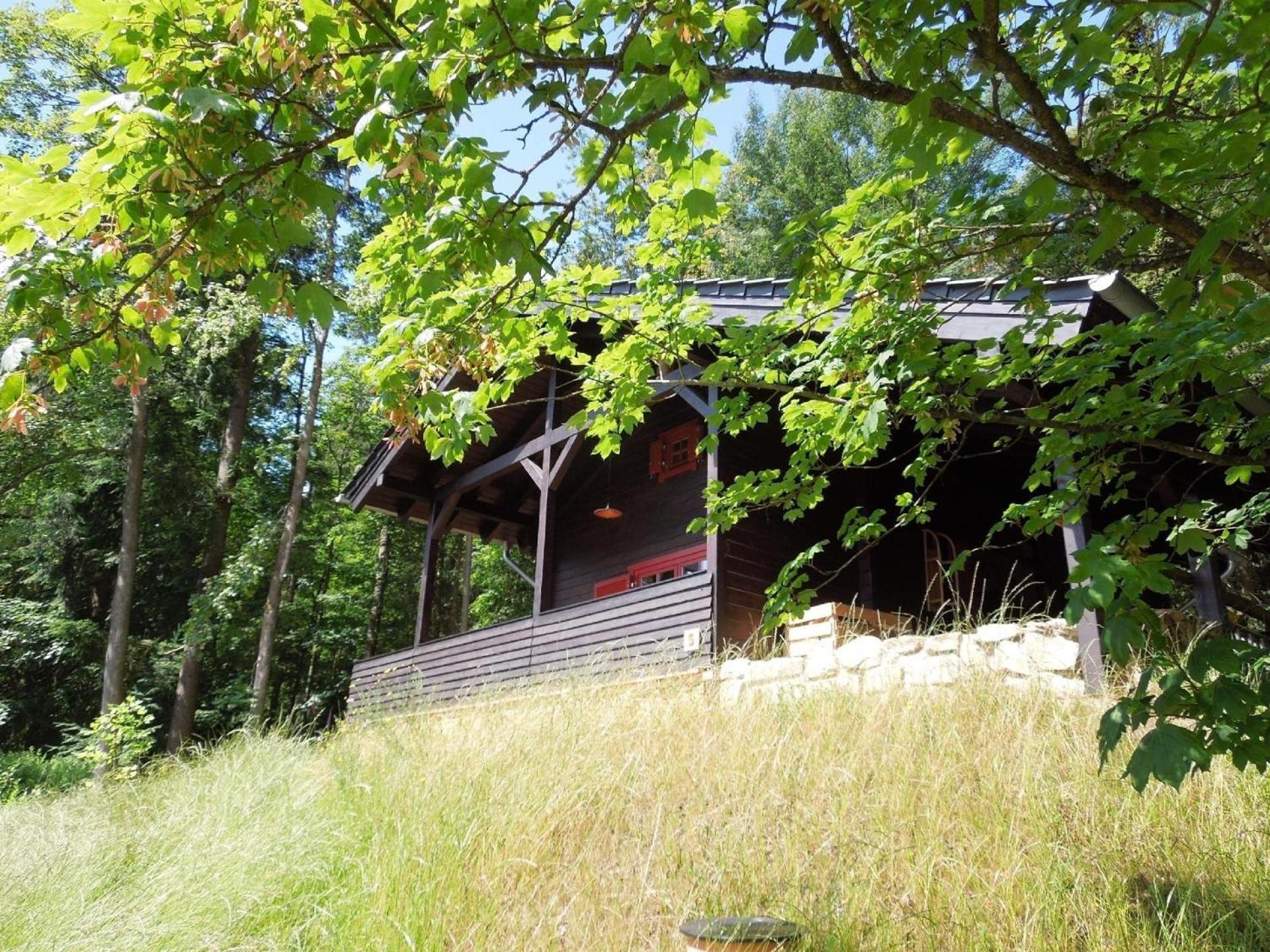 Blockhaus mit Terrasse und Grill am Bodewasserfall
